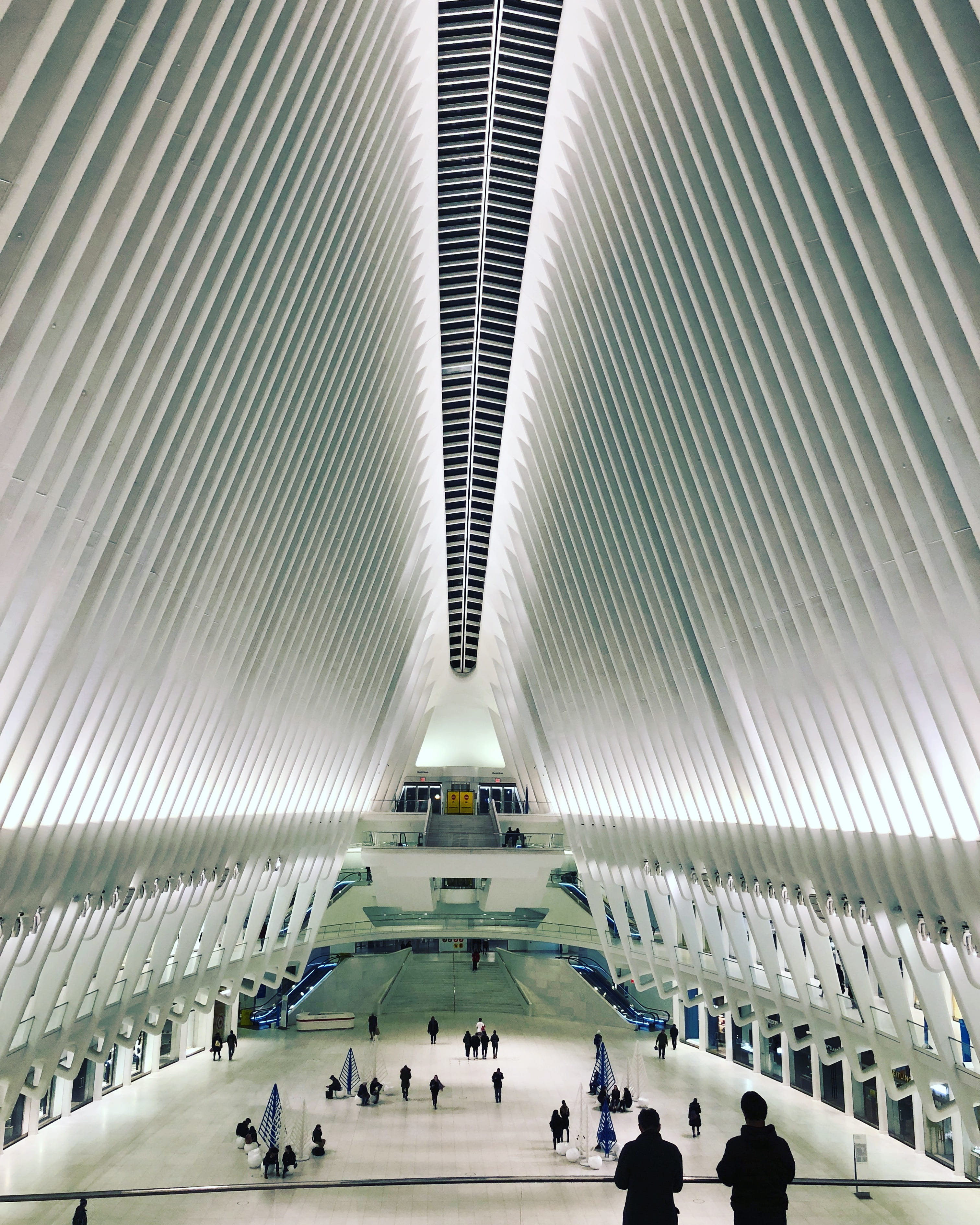 adult, indoors, group of people, new york, architecture, crowd, mall, large group of people, day, women, motion, roof, white, incidental people, manhattan, Phone HD Wallpaper