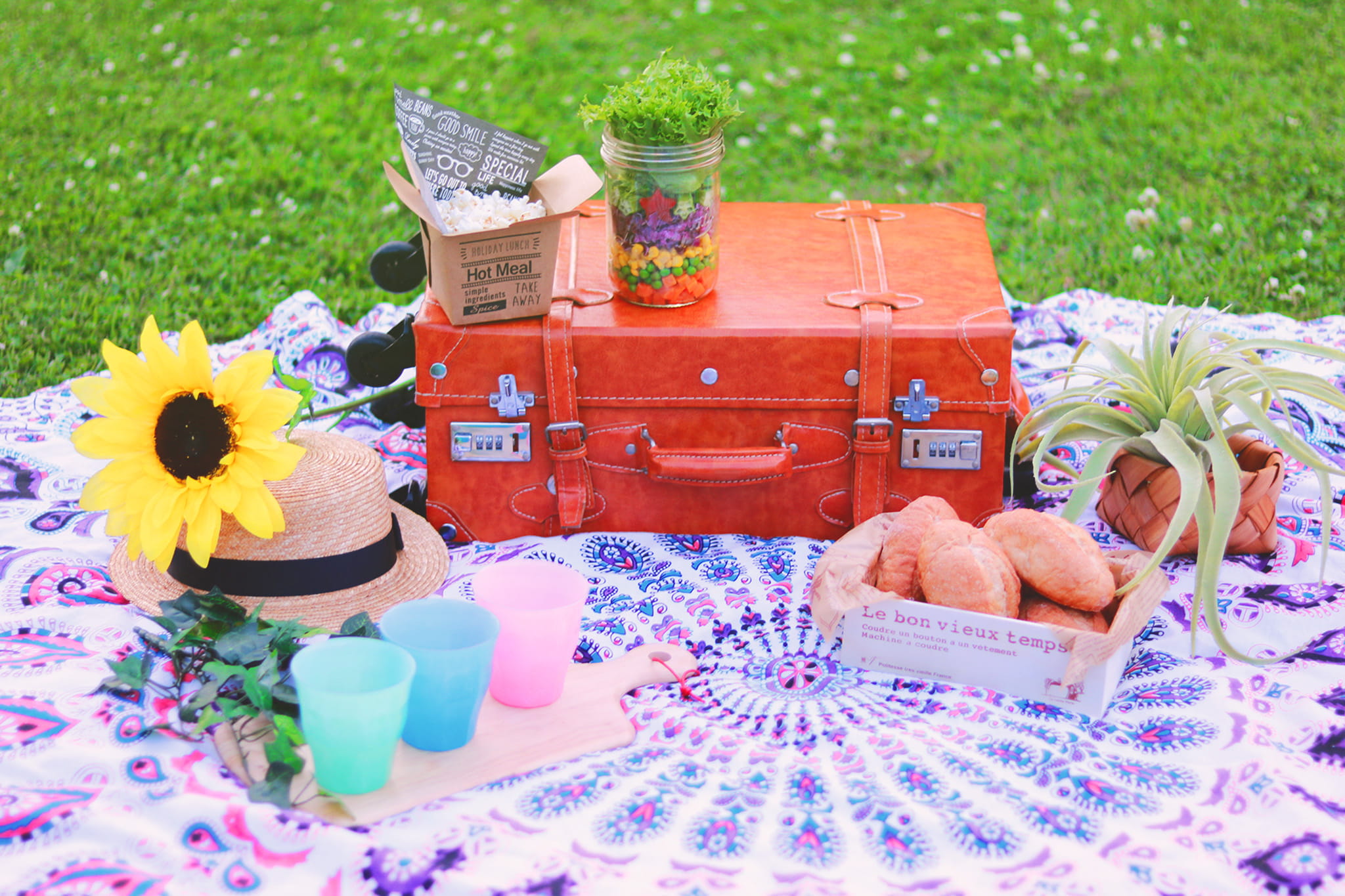 beauty in nature, nature, 1080P, day, high angle view, cups, leather, suitcase, one man only, shirtless, flower, fruit, tablecloth, flowering plant, plastic, HD Wallpaper