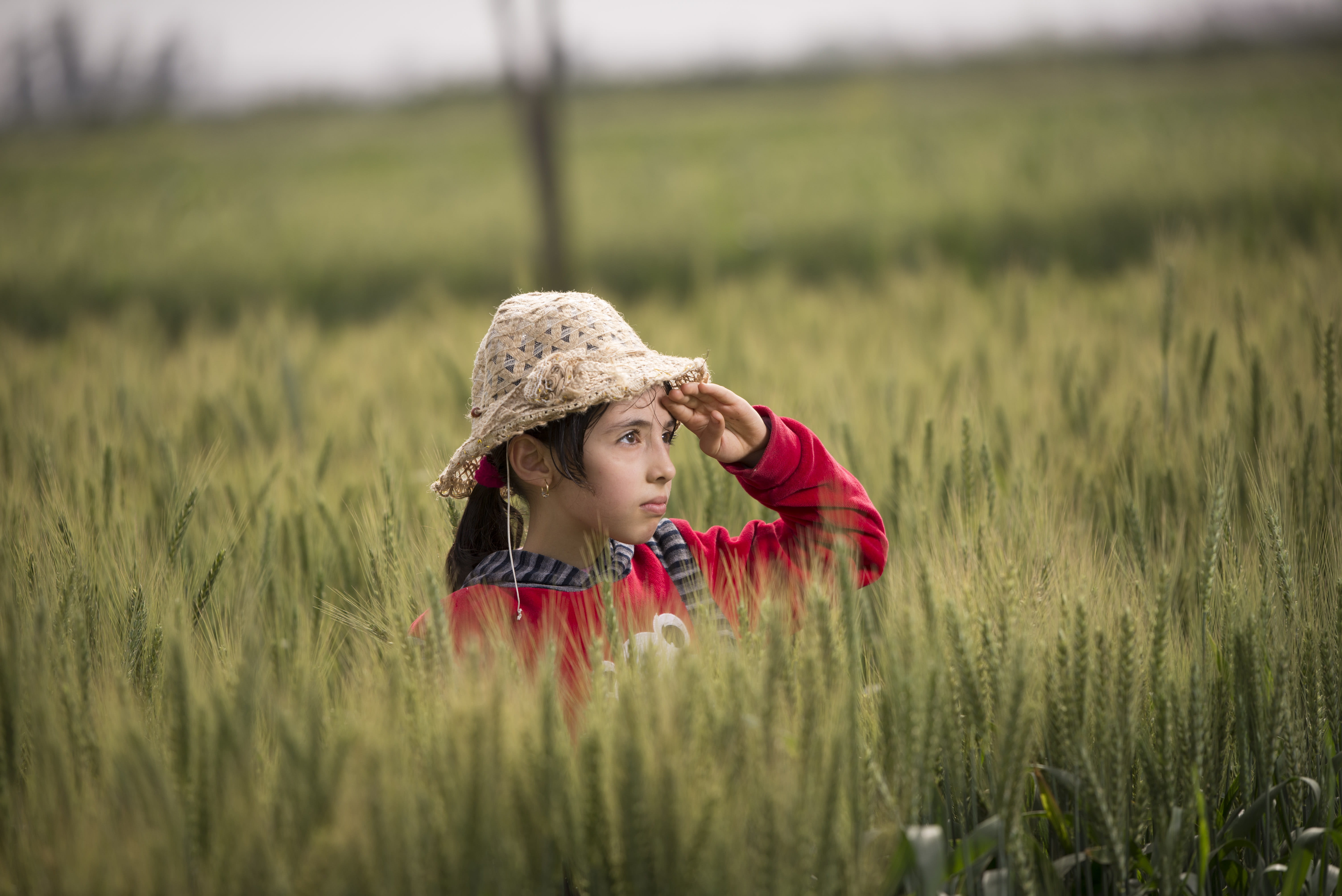 field, rural, crops, front view, outdoors, girl, wearing, crop, women, clothing, hairstyle, innocence, 5K, child, selective focus, hat, sunhat, rural scene, HD Wallpaper