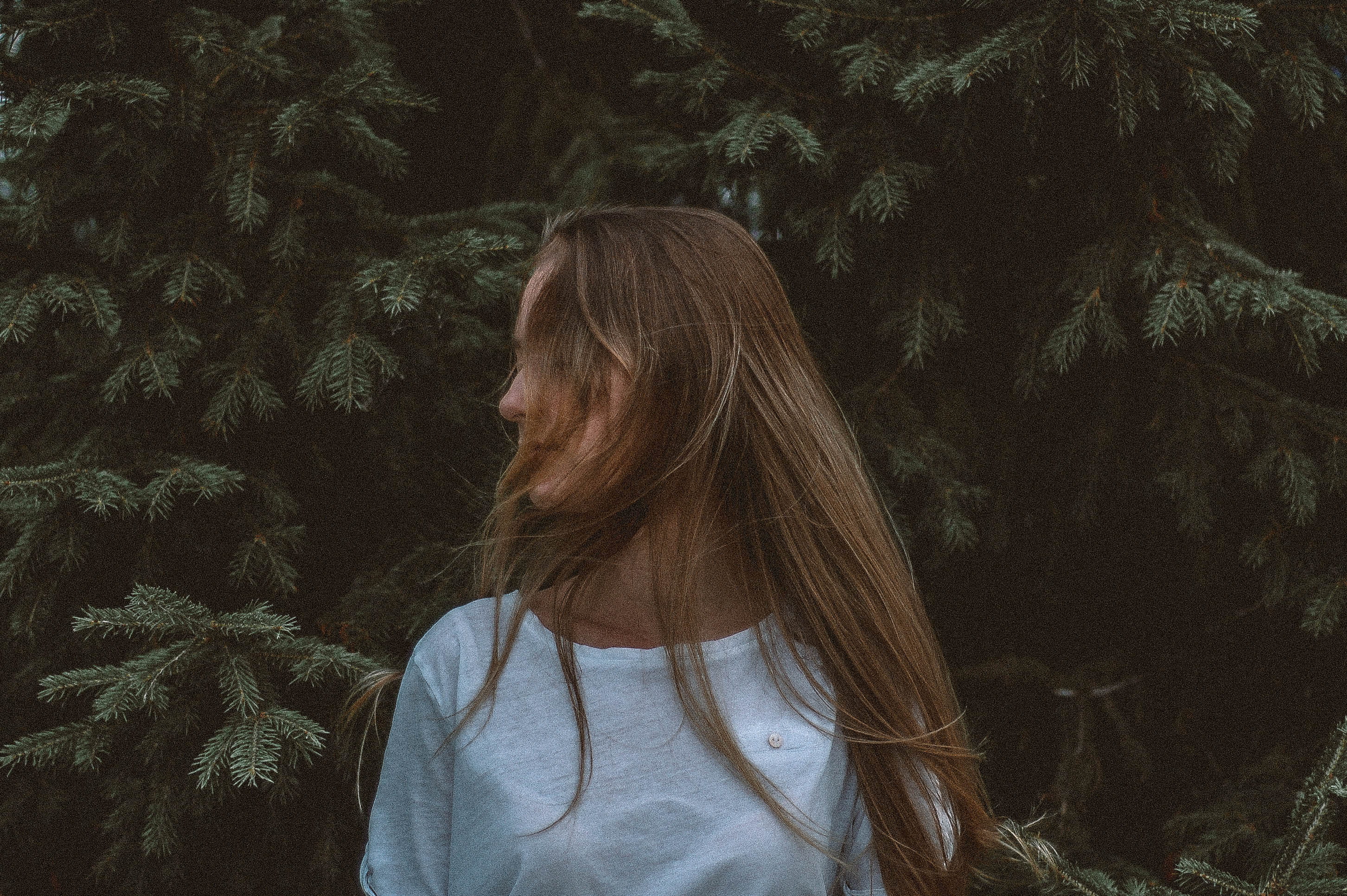 fashion, anonymous, portrait, backgrounds, tree, hair, females, beauty, white, face, girls, outdoors, cute, people, beautiful, shirt, outdoor, wood, young Adult, HD Wallpaper