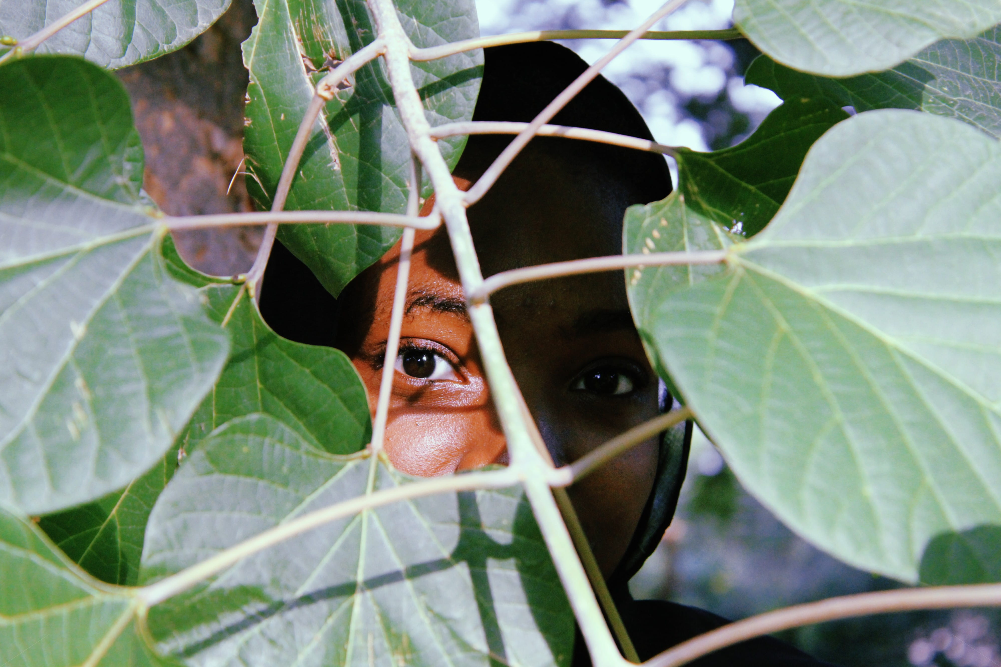 nature, green color, plant, nigerian, 4K, portrait, outdoors, eye, concealed, africa, happy, smile, people, forest, food, sunset, eyes, one animal, plant part, HD Wallpaper