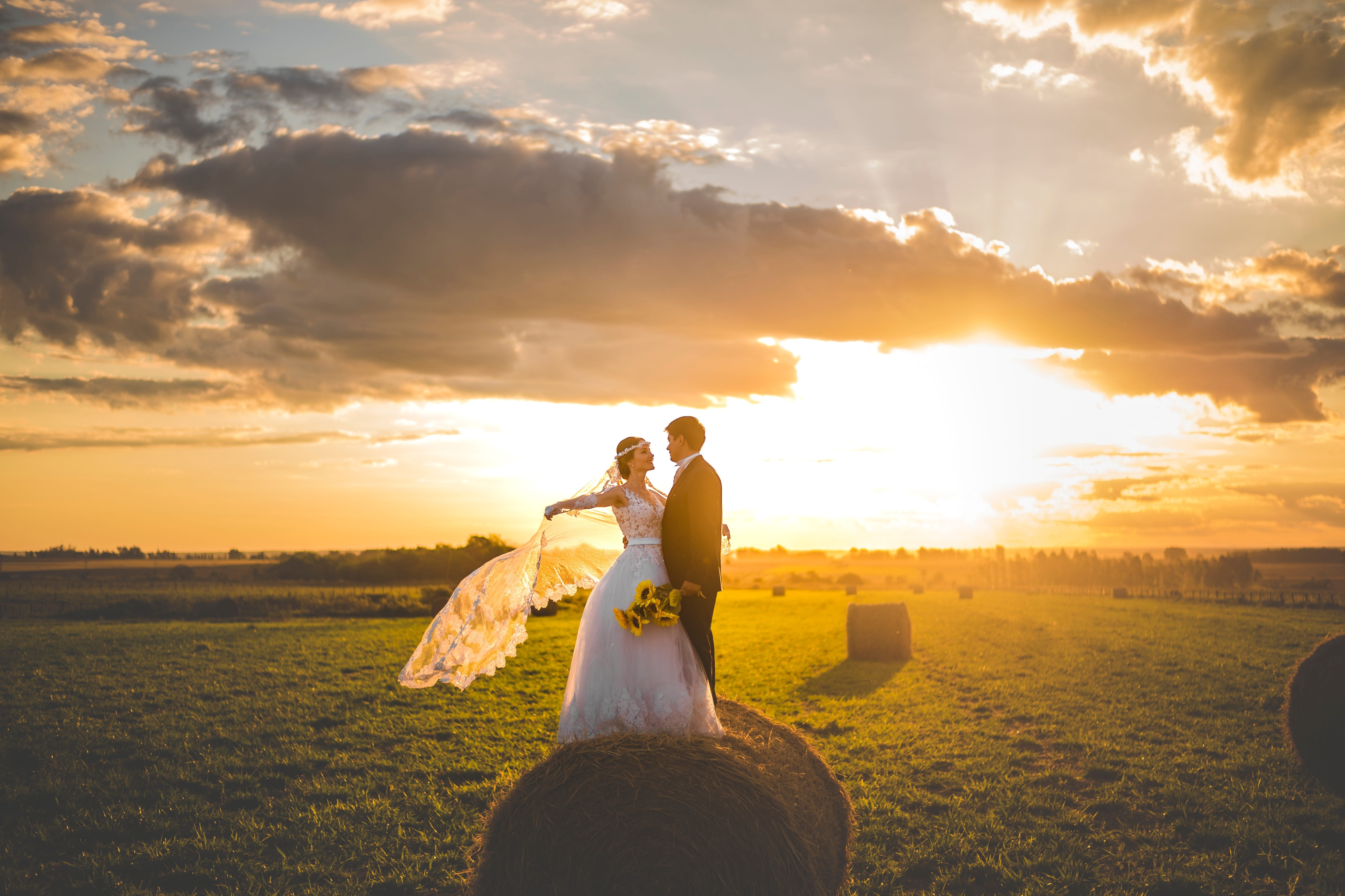 celebration, sky, event, flowers, pre nuptial, gown, beauty in nature, love, life events, man, cloud - sky, 5K, outdoors, grass, bride, women, sunset, HD Wallpaper