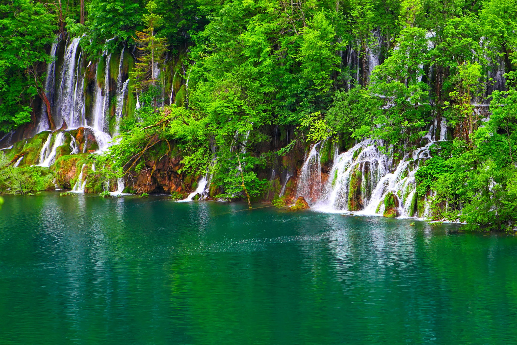 lake, jungle, landscape, 1080P, waterfall, HD Wallpaper