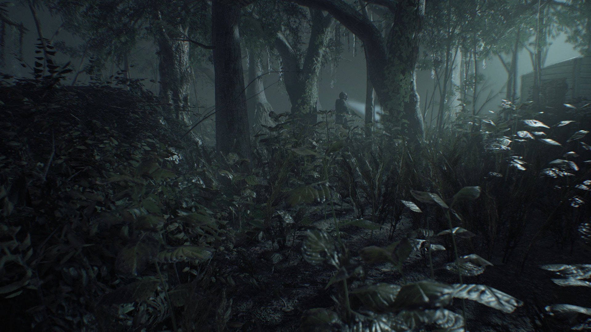 Resident Evil, 1080P, Resident Evil 7: Biohazard, HD Wallpaper