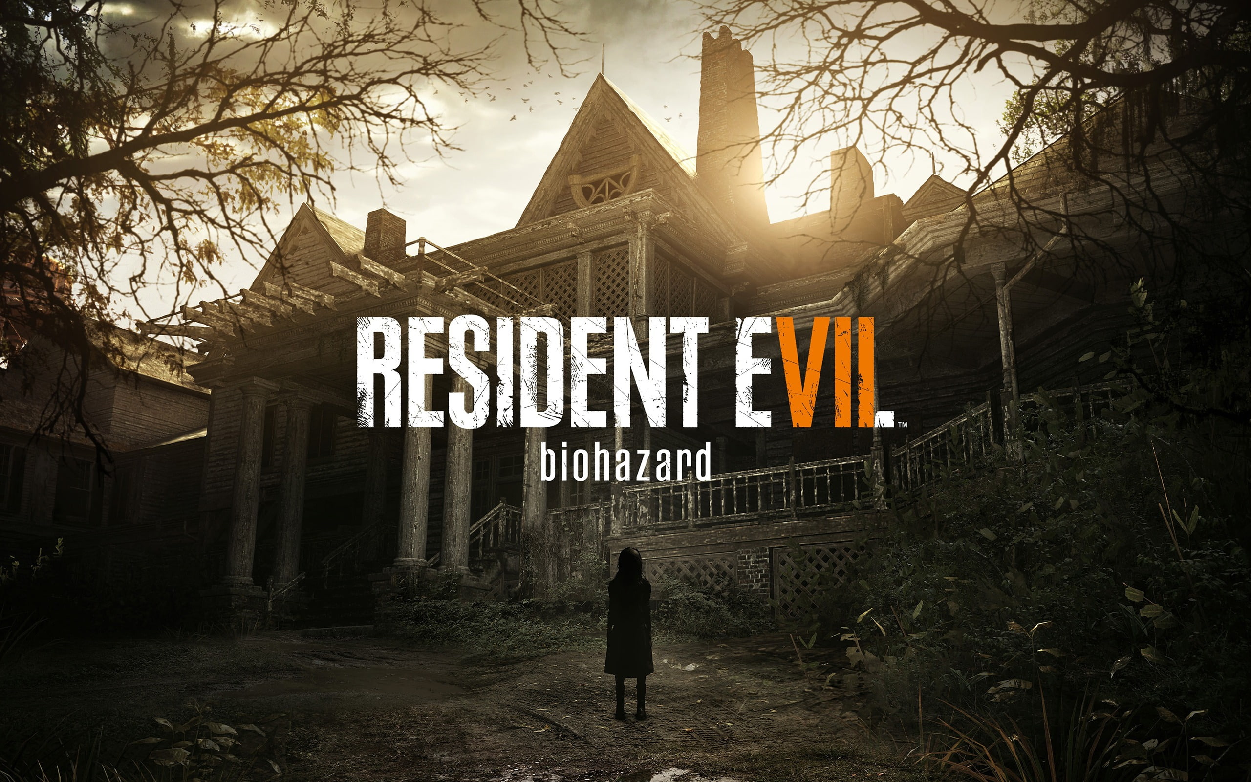 2K, resident, biohazard, evil, wal, high, game, quality, digital, hd, HD Wallpaper