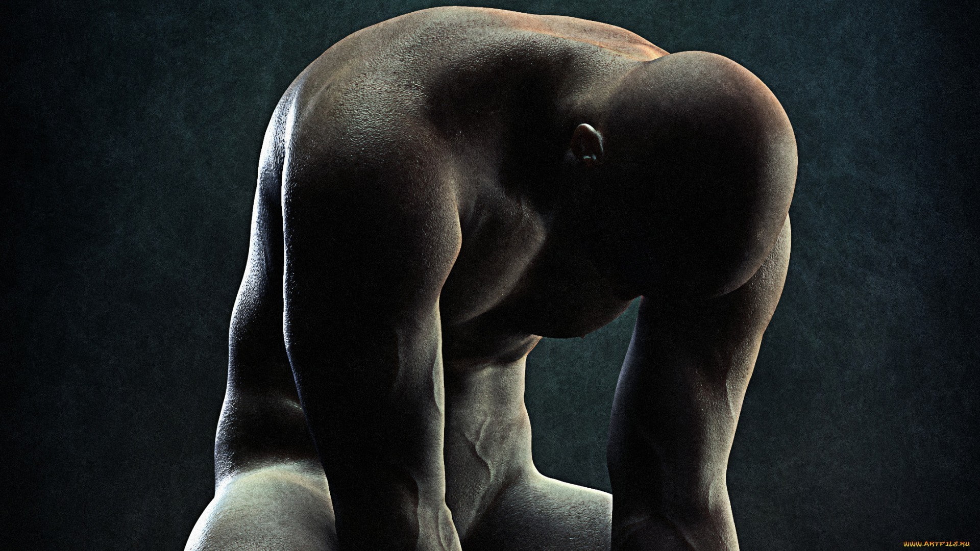 men, studio shot, one person, rear view, adult, healthy lifestyle, shirtless, bending, indoors, strength, human body part, limb, body part, black background, HD Wallpaper