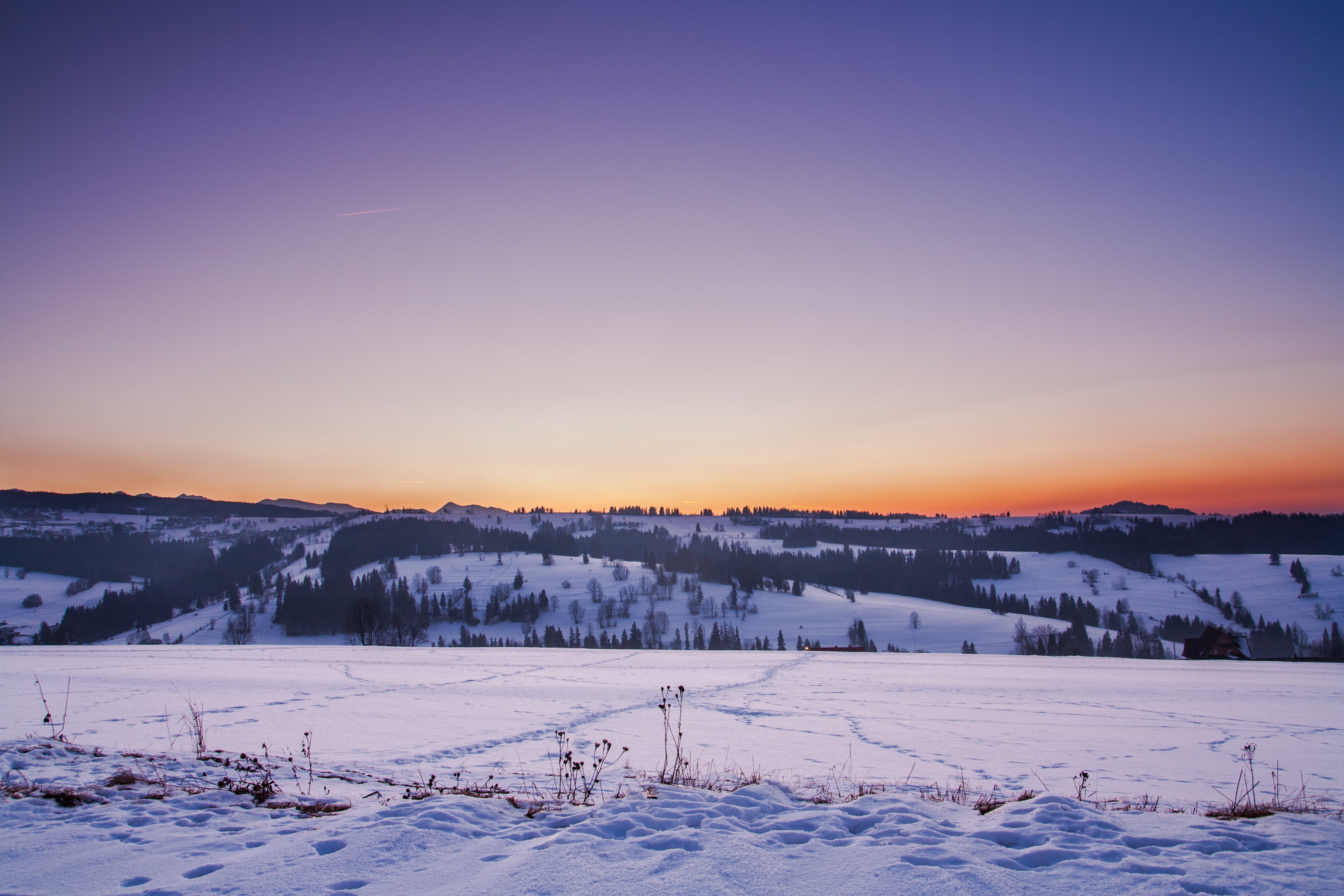 tranquility, house, frozen, white, sun, winter, tree, snow, sunset, forest, woodland, sunrise - Dawn, fir Tree, field, freshness, frost, white color, nature, HD Wallpaper