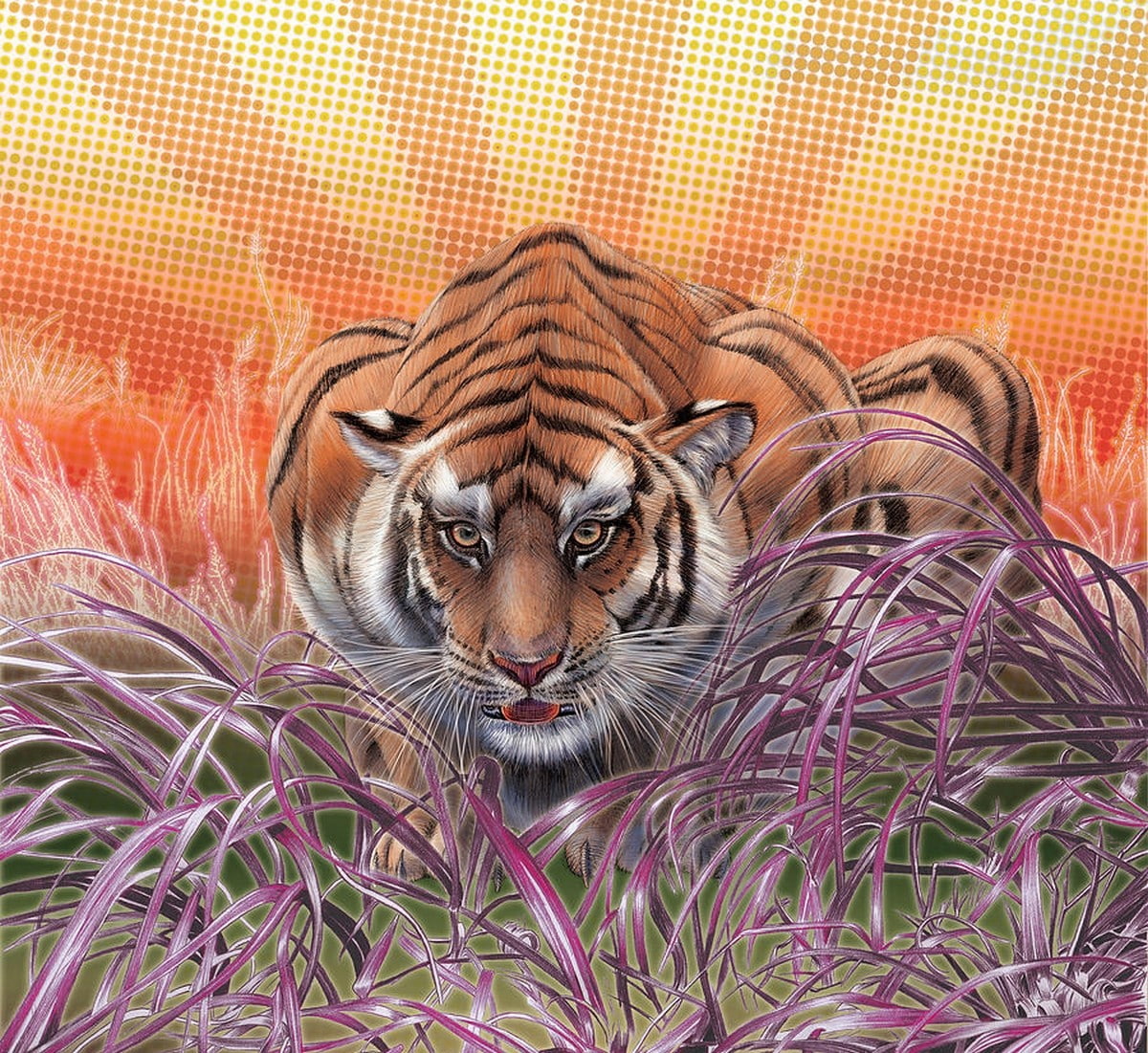tiger, 480P, digital art, nature, animals, HD Wallpaper