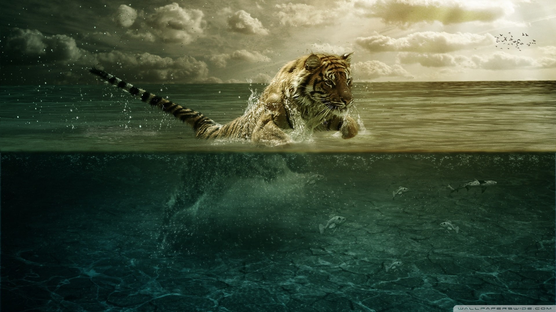 mouth open, digital art, animals, domestic, water, dog, one animal, animal, day, outdoors, tiger, mammal, waterfront, no people, sky, underwater, cloud - sky, HD Wallpaper