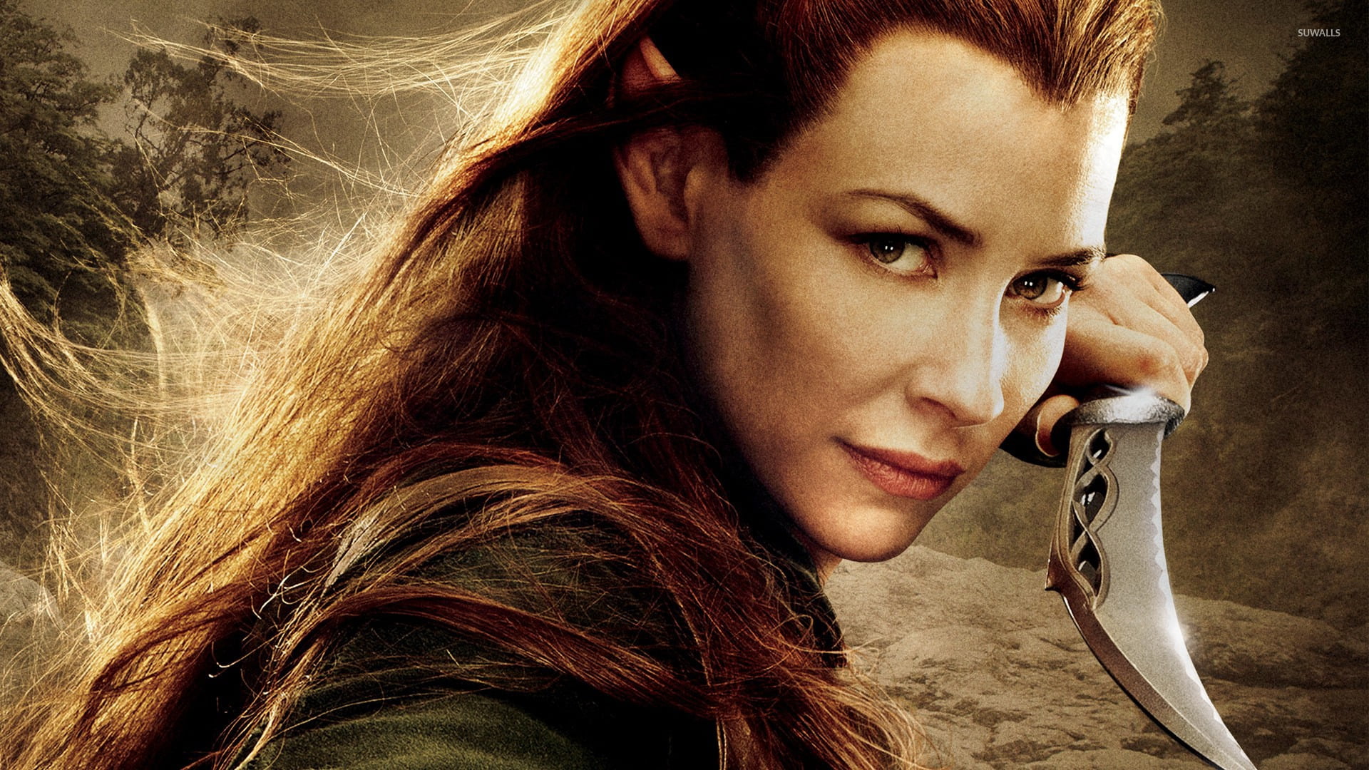 one person, poster, hair, adult, young women, close-up, beautiful woman, indoors, looking, 1080P, contemplation, young adult, portrait, elf, Evangeline Lilly, HD Wallpaper