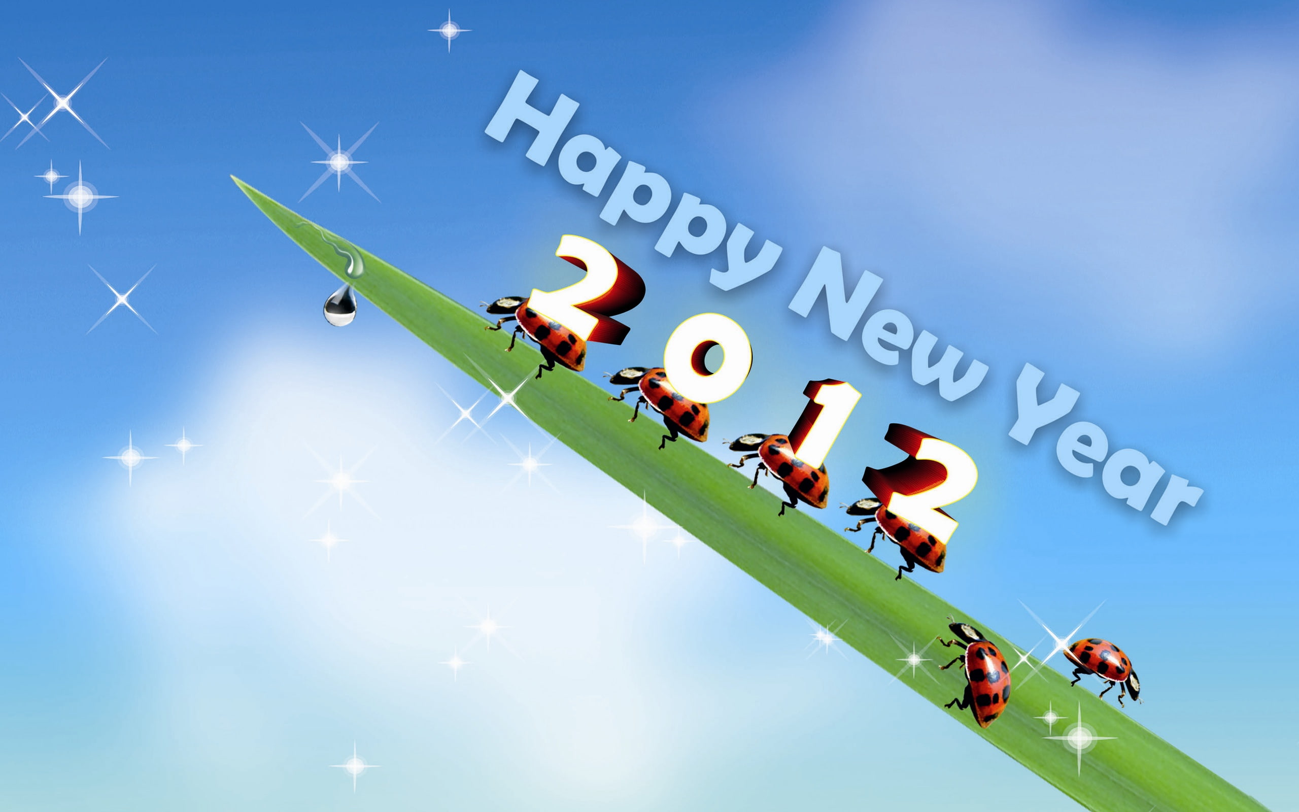 2K, 2012, Leaf, Ladybug, New, Year, Happy, ladybugs, HD Wallpaper
