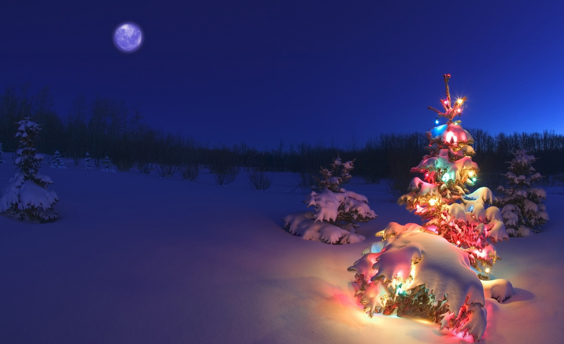 tree, illuminated, christmas trees, moon, christmas ornament, cold temperature, christmas, new years eve, decoration, celebration, year, christmas lights, HD Wallpaper