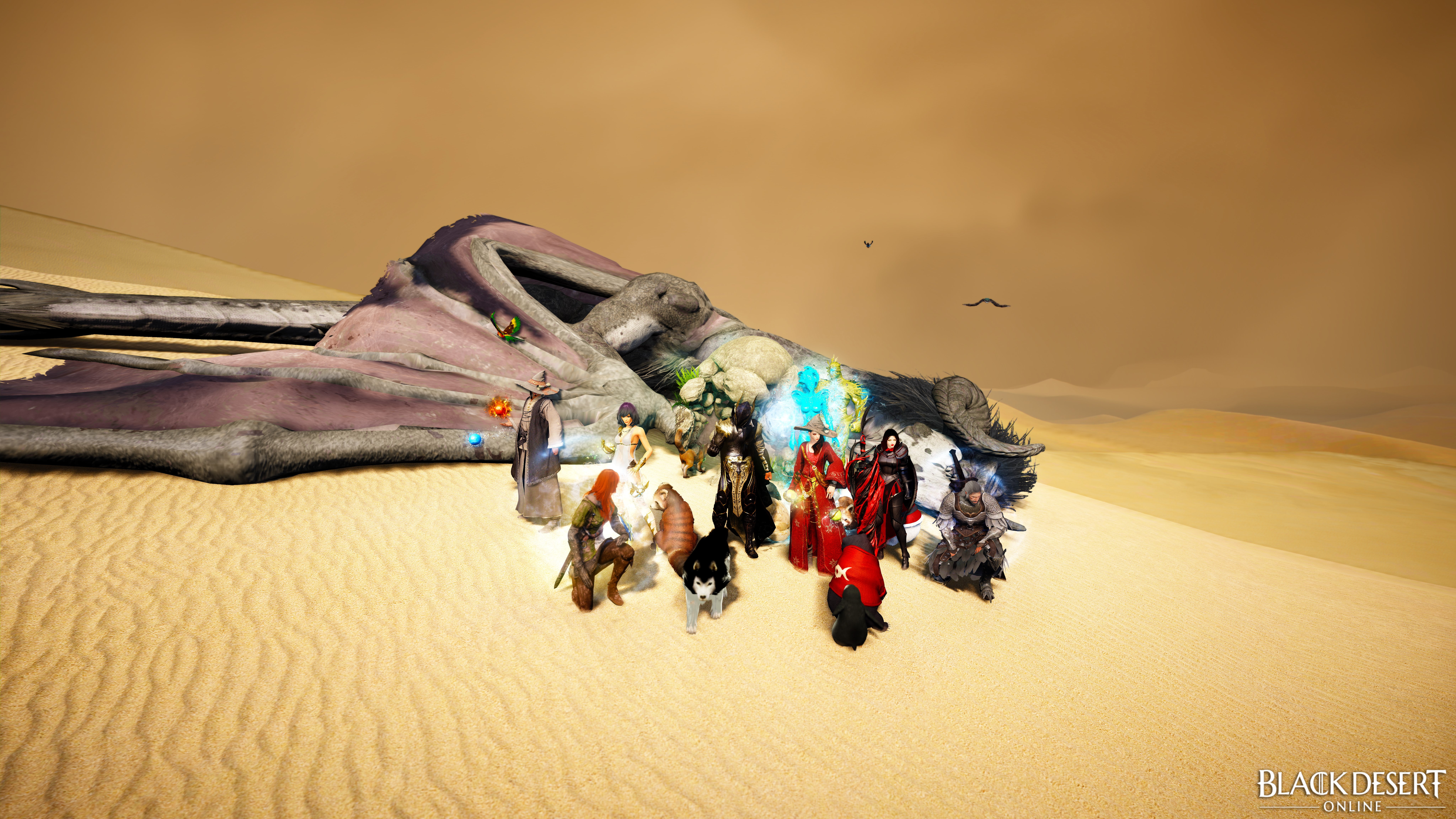 black desert online, 8K, Black Desert, Operation Desert Storm, HD Wallpaper