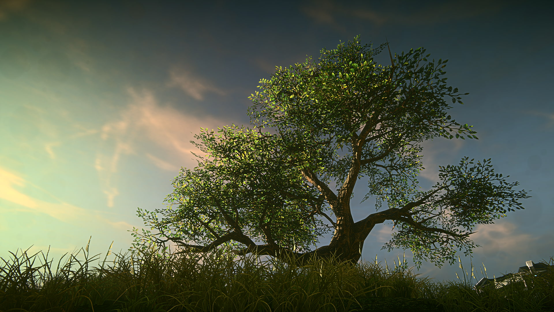 Planetside 2, Trees, 1080P, Planetside, HD Wallpaper