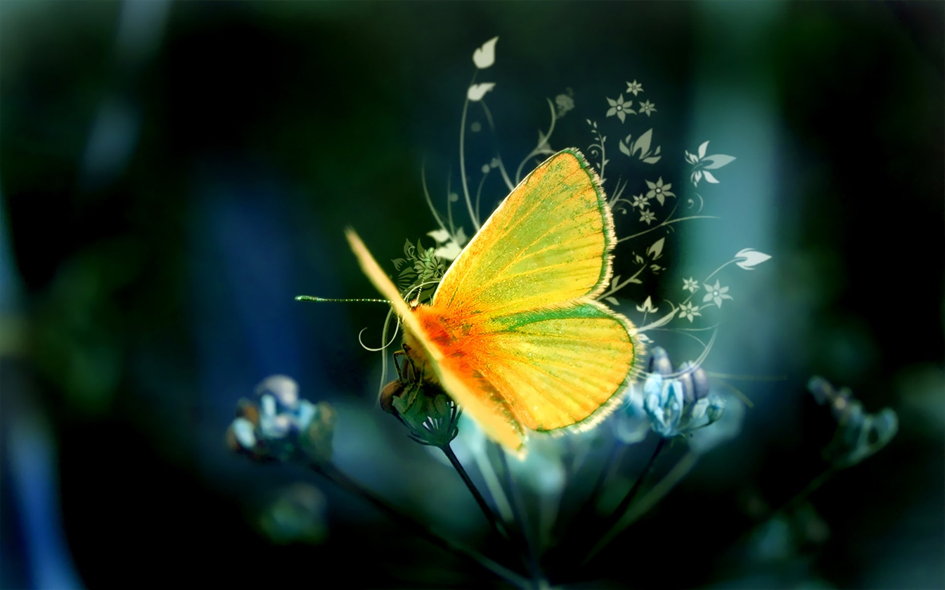 Butterfly, 1080P, Art, Yellow, Design, HD Wallpaper
