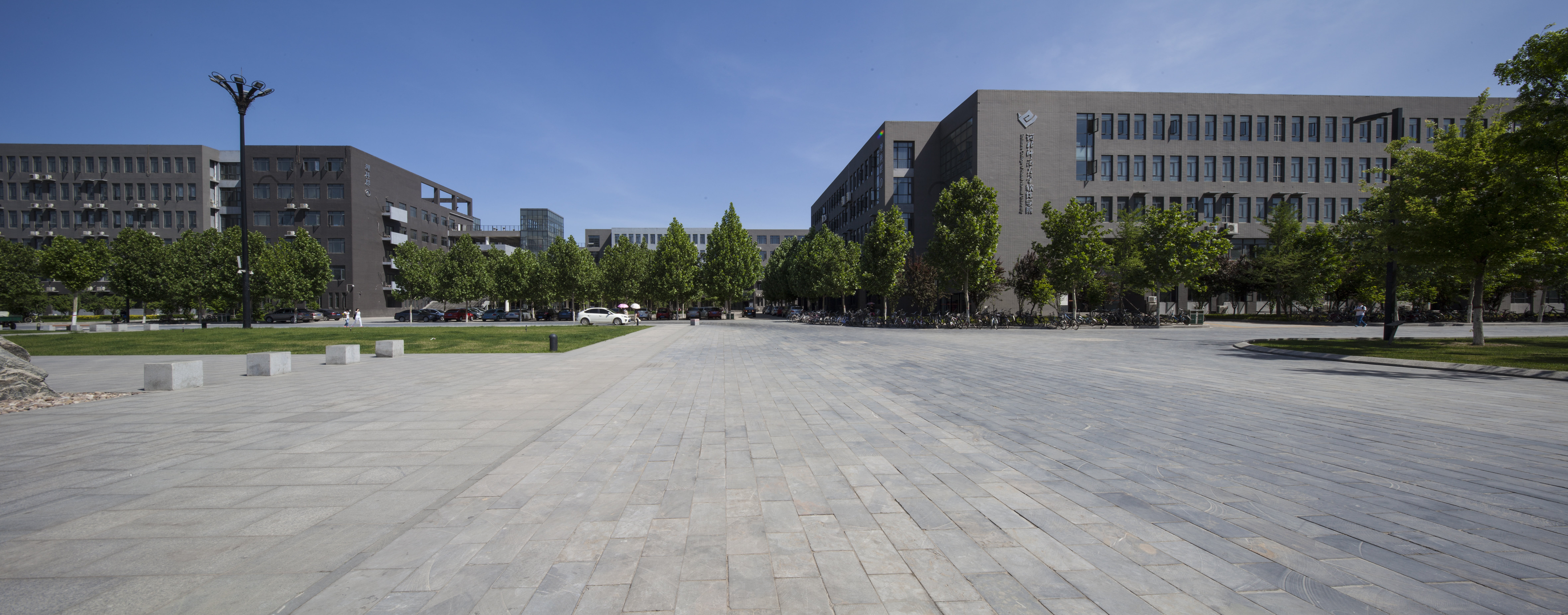 campus, footpath, street, skyscraper, building exterior, day, concrete, photograph, tree, cityscape, paving stone, modern, city, urban skyline, road, nature, HD Wallpaper