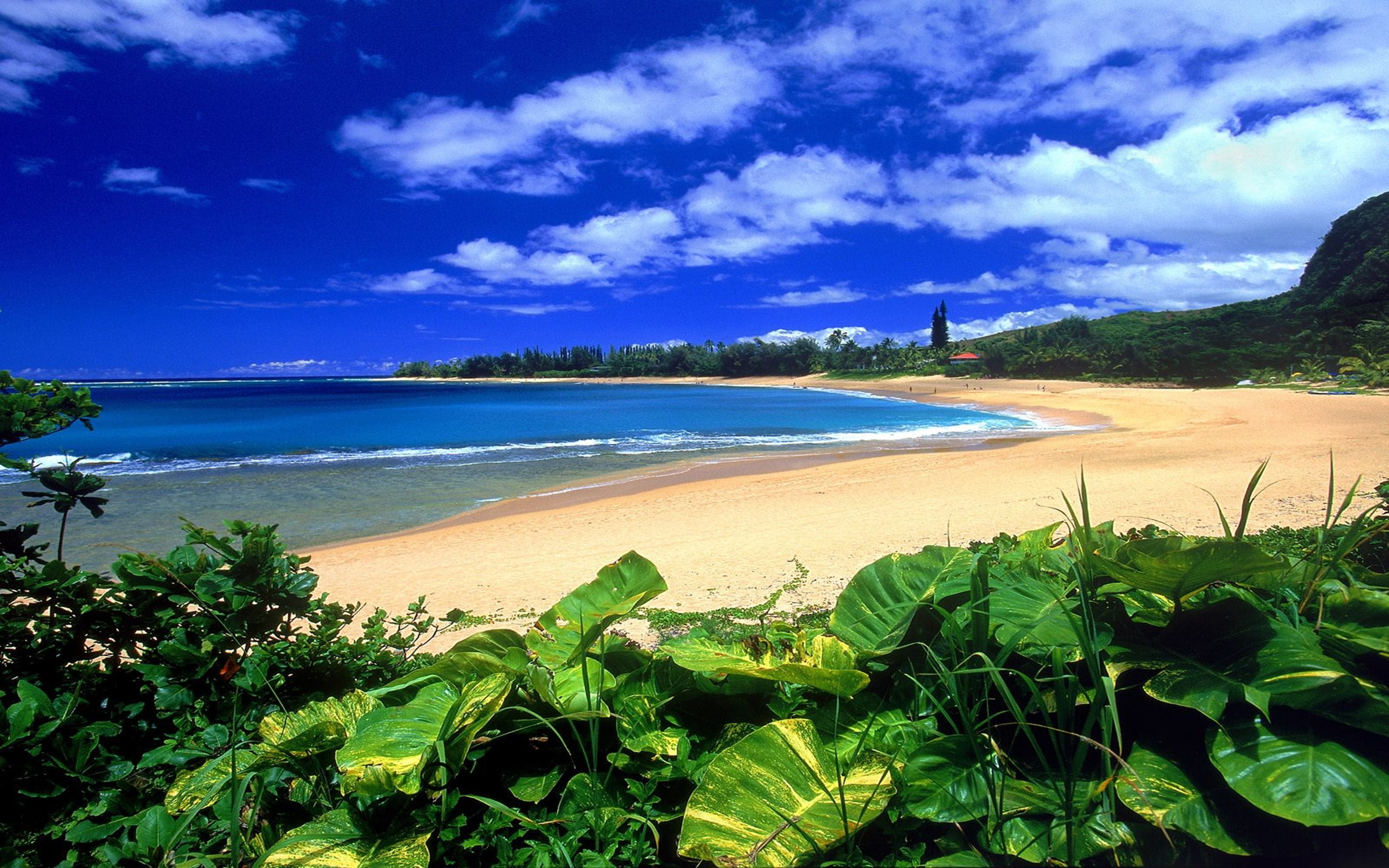 haena, beach, 2K, normal, HD Wallpaper