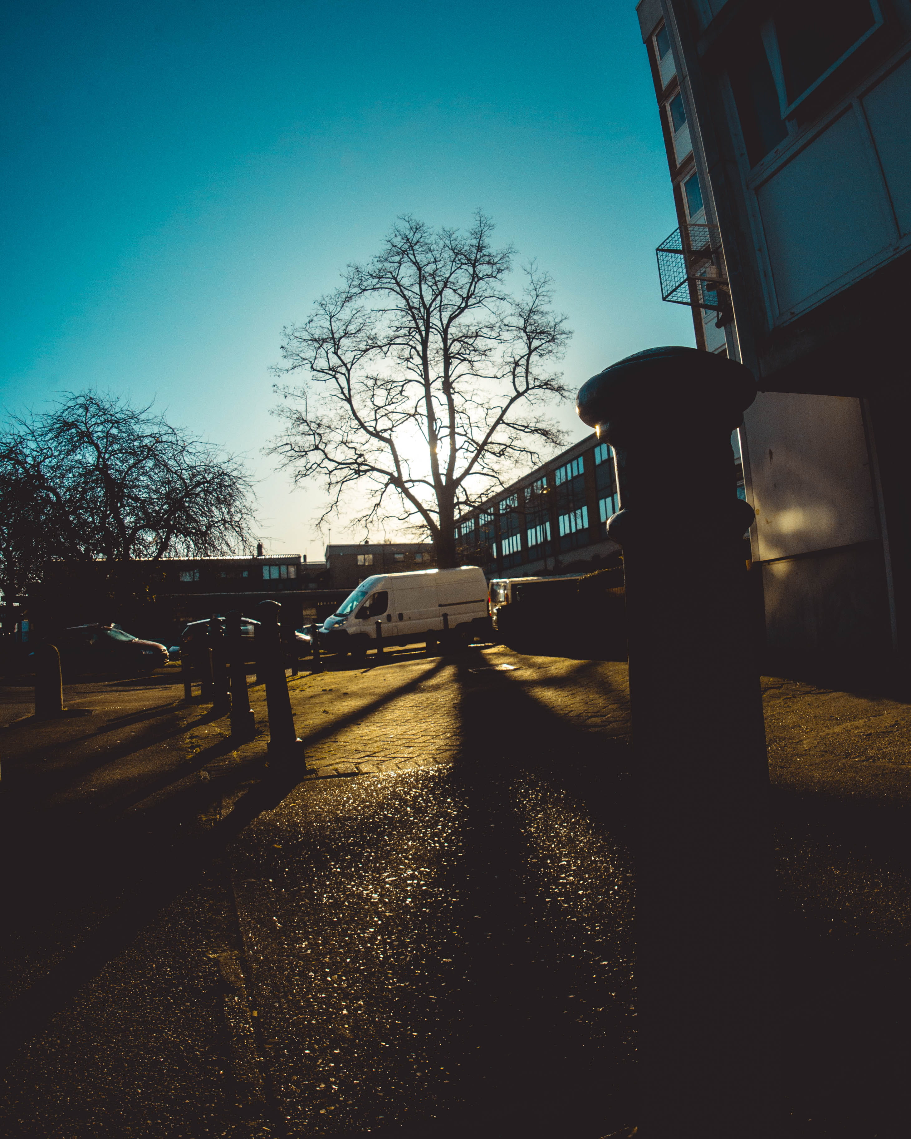 day, transportation, city, building exterior, land vehicle, every, bare tree, building, tree, rural, public transportation, striking, walk, pillar, nature, Phone HD Wallpaper