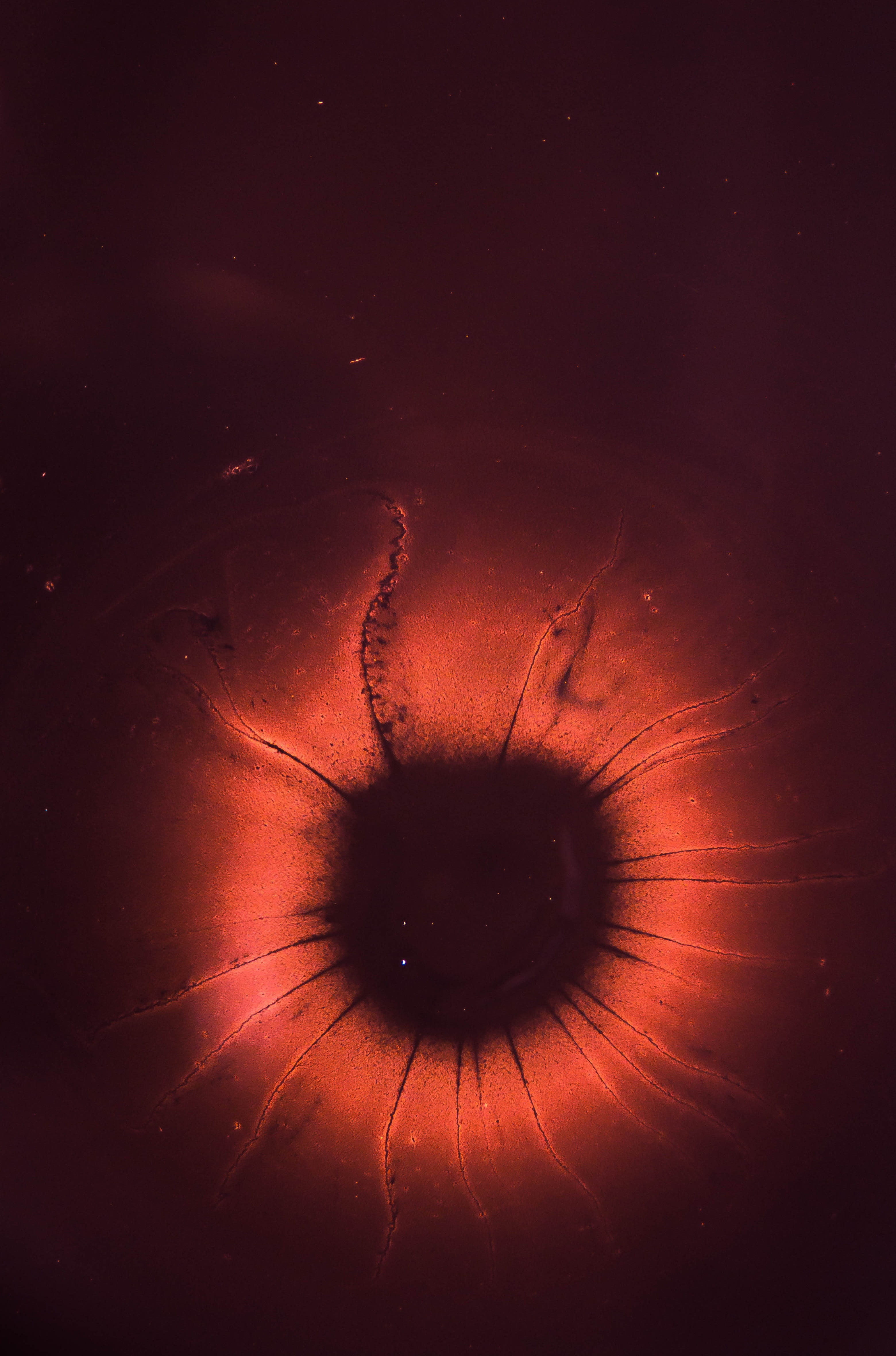 eyesight, human eye, red, extreme close-up, human body part, mystery, nature, indoors, eyeball, iris, studio shot, one person, abstract, pupil, iris - eye, Phone HD Wallpaper