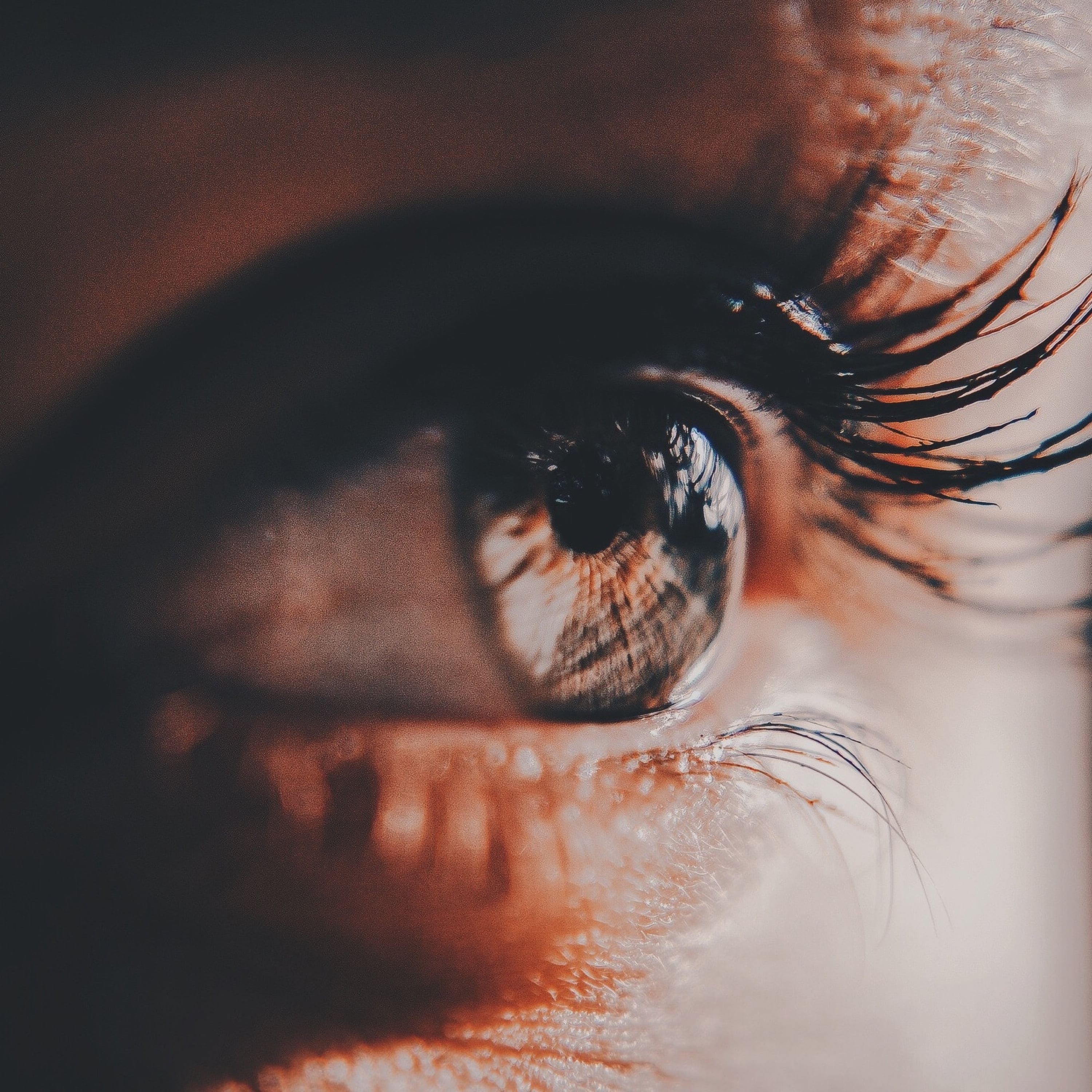 human body part, 2K, sensory perception, eyelash, close-up, human, eye, females, human Face, human Eye, hazel eyes, caucasian Ethnicity, women, eyesight, Phone HD Wallpaper