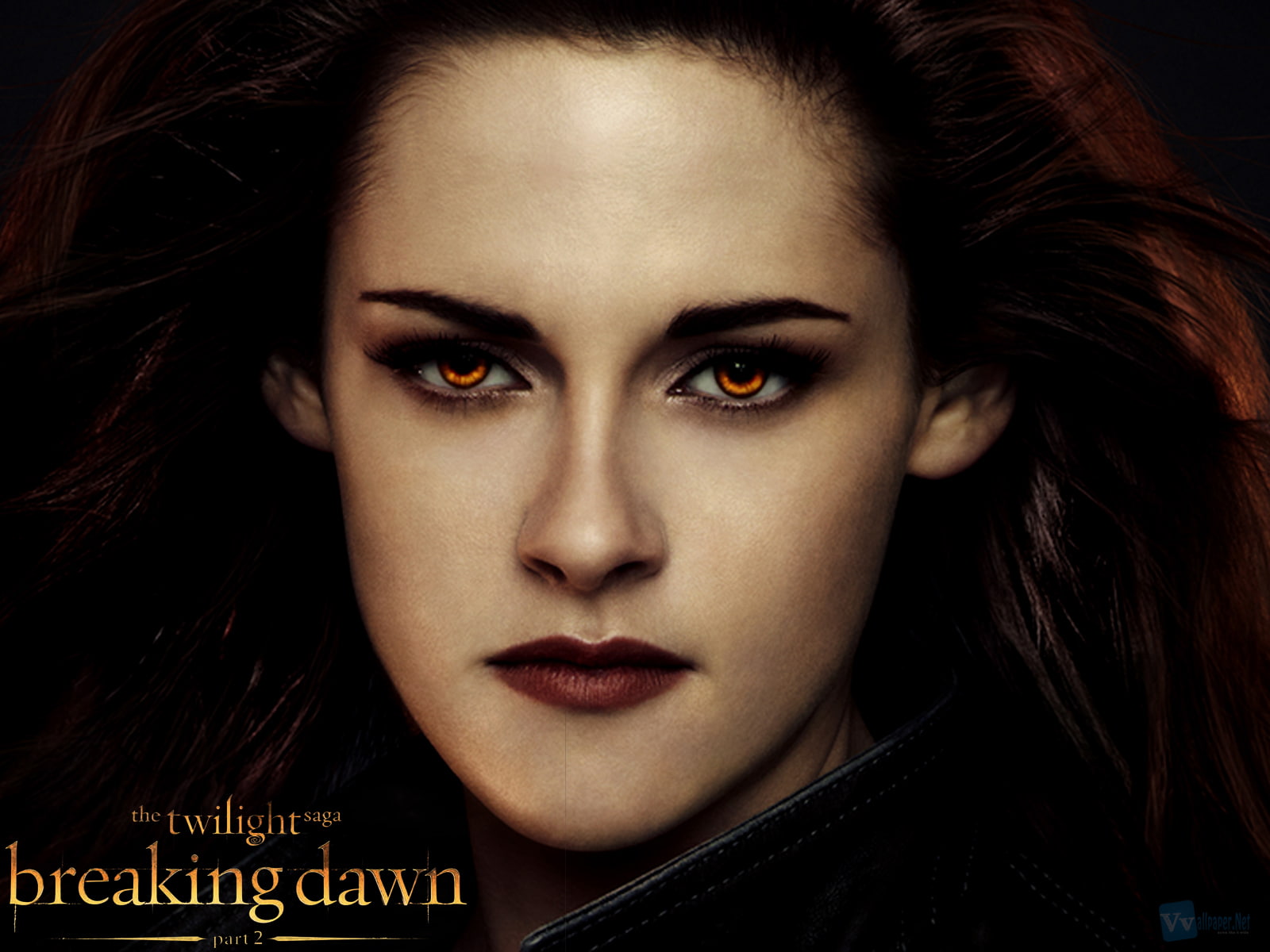stewart, face, girls, dawn, glance, 720P, kristen, movies, women, celebrities, twilight, females, vampires, breaking, saga, HD Wallpaper