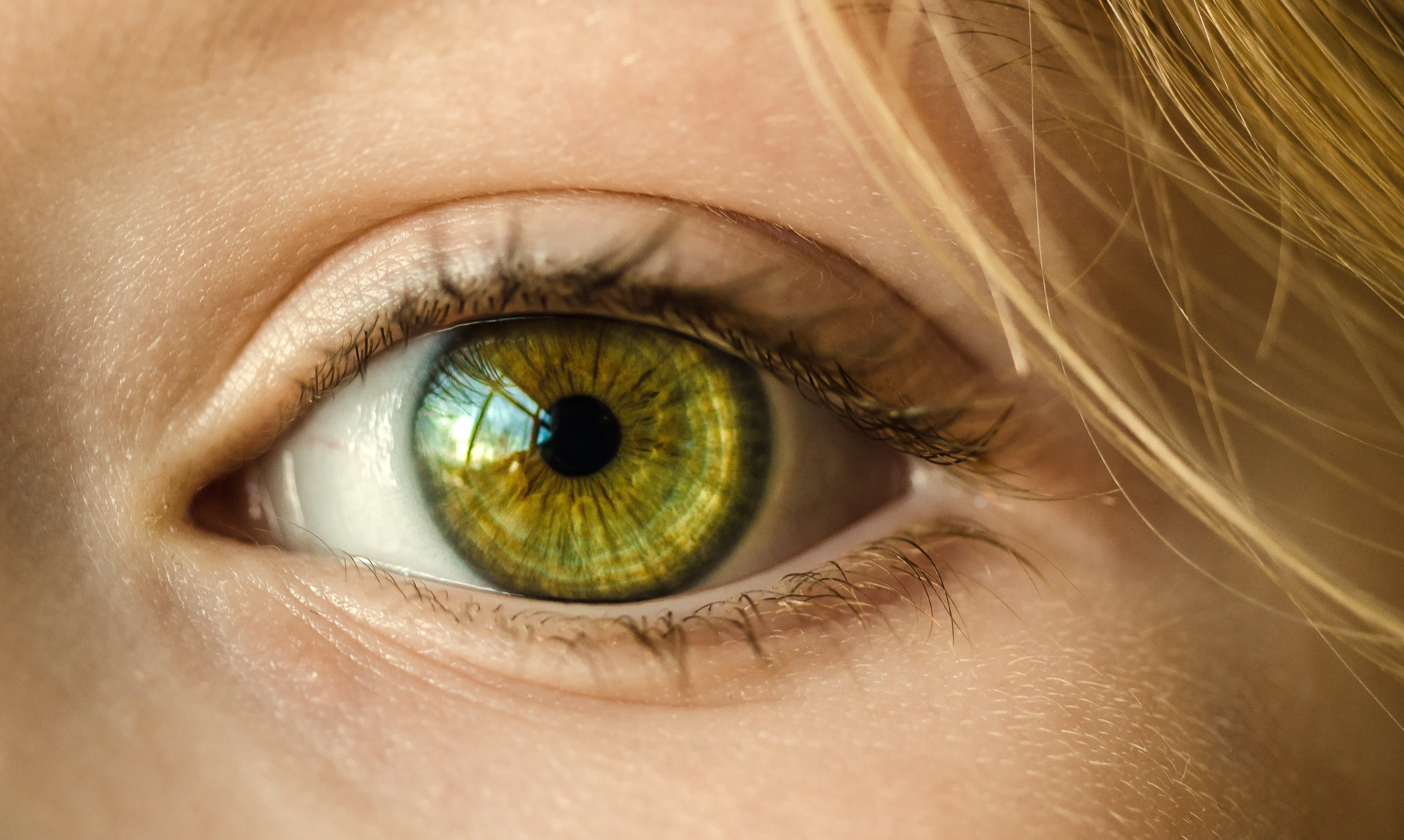 sensory perception, human Eye, public domain, Closeup, photo, eyebrow, beautiful, facial feature, iris - Eye, portrait, 4K, one Person, color Image, watching, HD Wallpaper