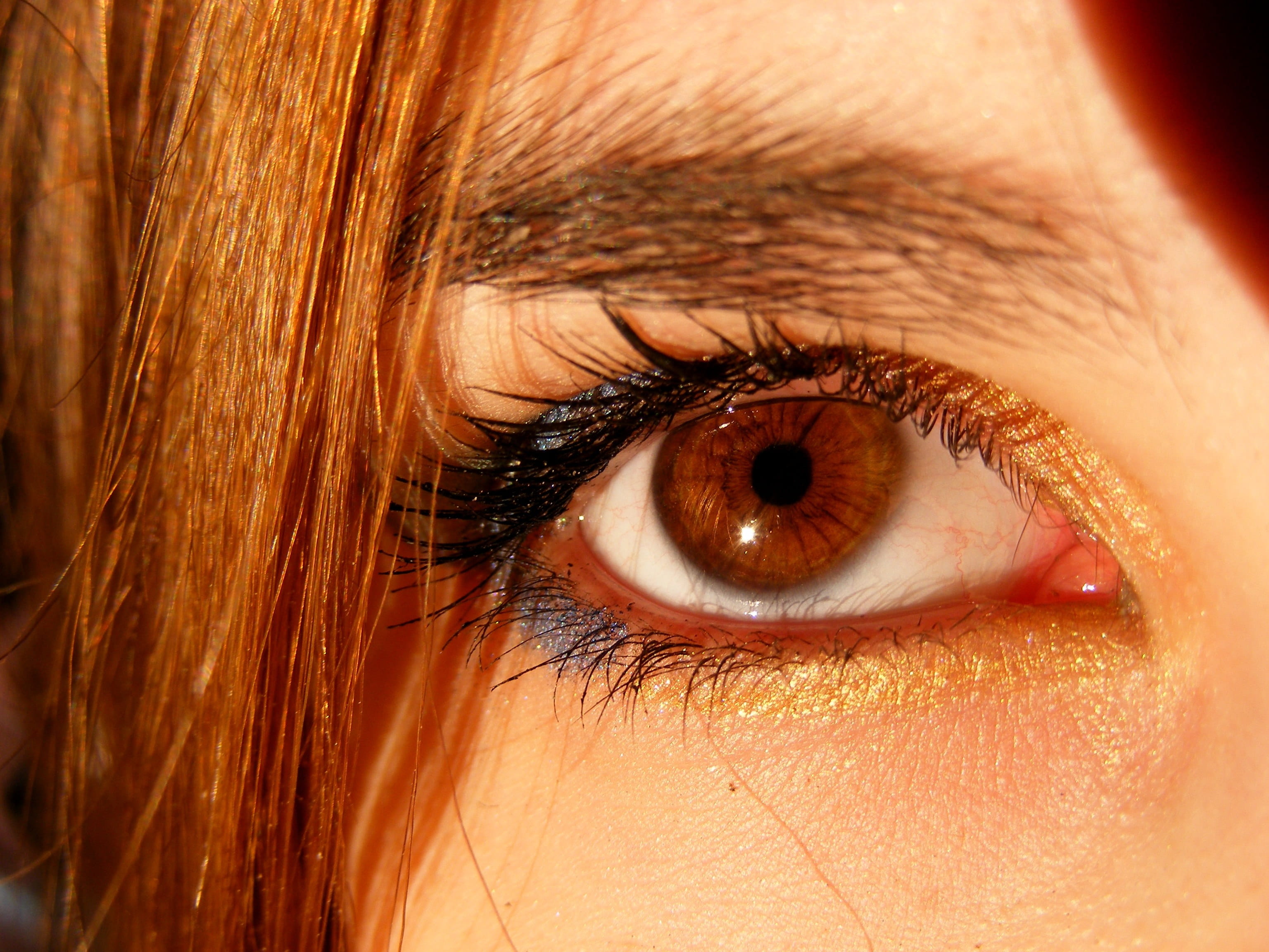 eyebrow, looking, teenager, Brown, human body part, yellow, portrait, eyeball, adult, beautiful woman, beauty, brown, young adult, Brown, women, eyelid, HD Wallpaper
