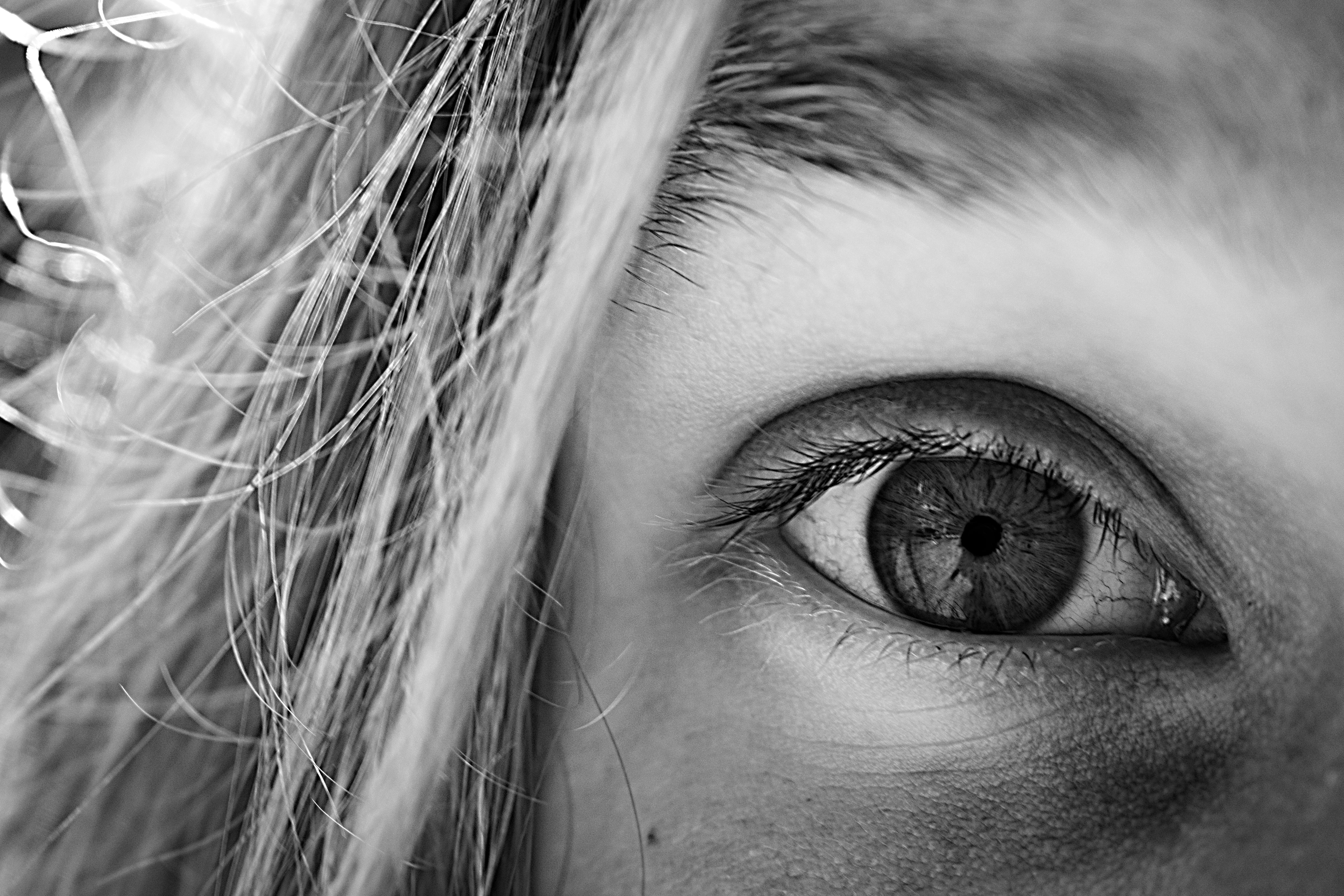 human face, close-up, portrait, human eye, eyebrow, adult, person, photo, 5K, vision, men, right, cilia, s, eyelash, one person, closeup, look, body part, HD Wallpaper