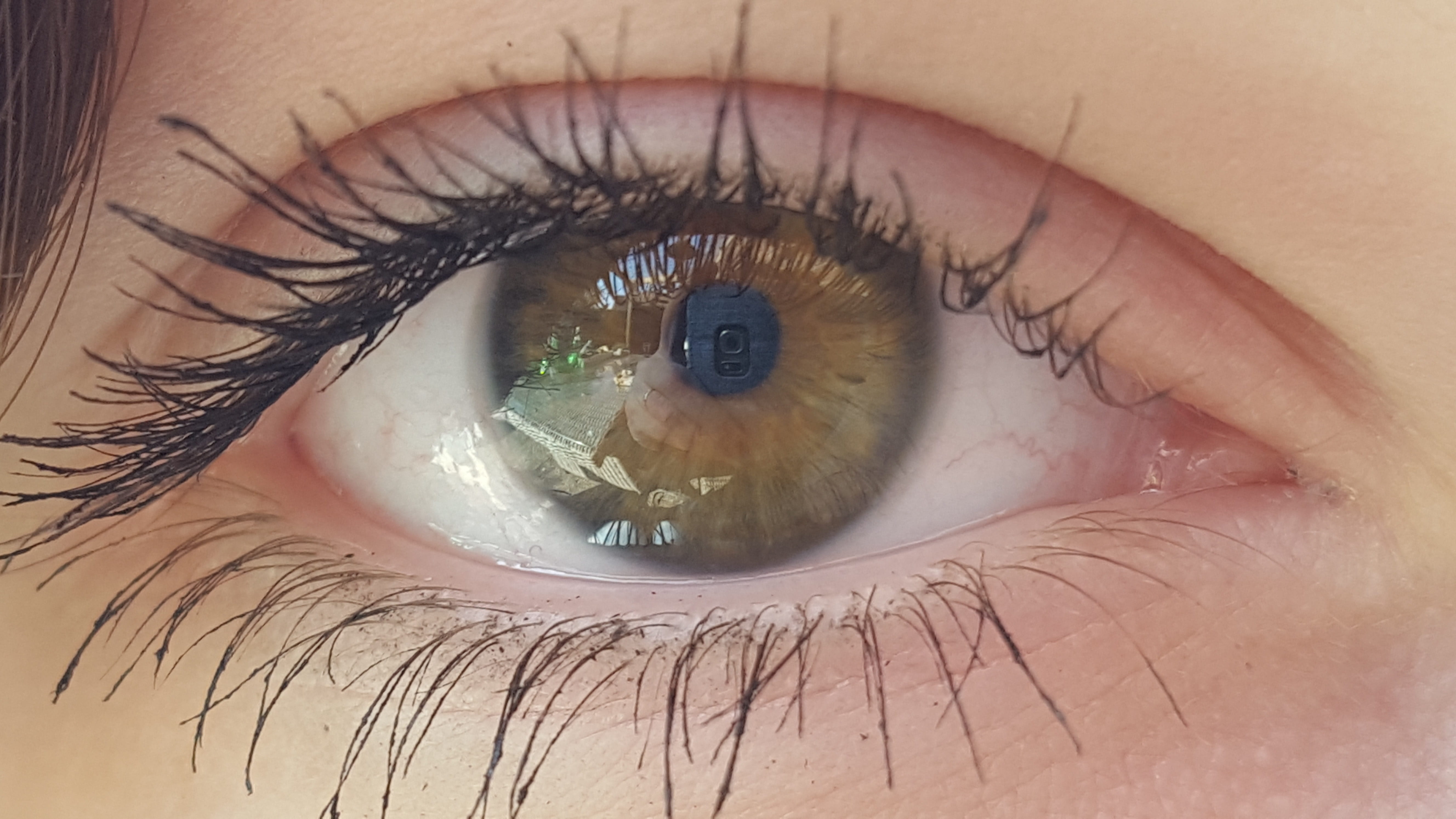 Look, eyesight, eyelash, glance, Eye, human eye, face, young adult, eyeball, portrait, model, teen, green, one person, macro, s, youth, extreme close-up, HD Wallpaper