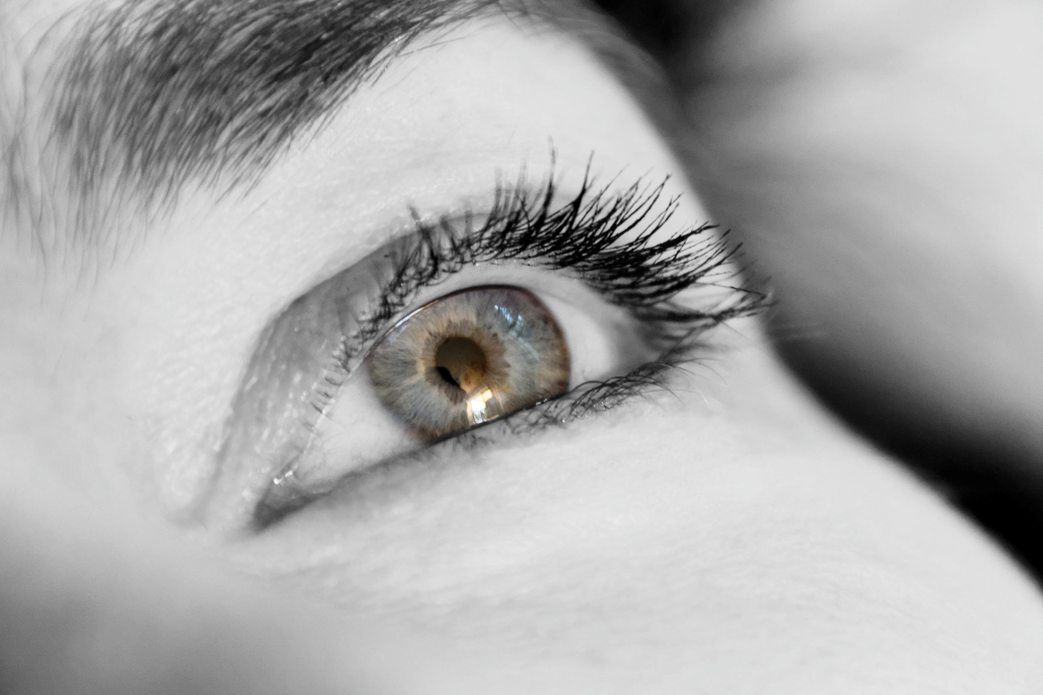 iris - Eye, looking, body part, one Person, human Eye, human, adult, eyesight, photo, eyelashes, females, eyelash, sensory perception, iris, beauty, human Face, HD Wallpaper