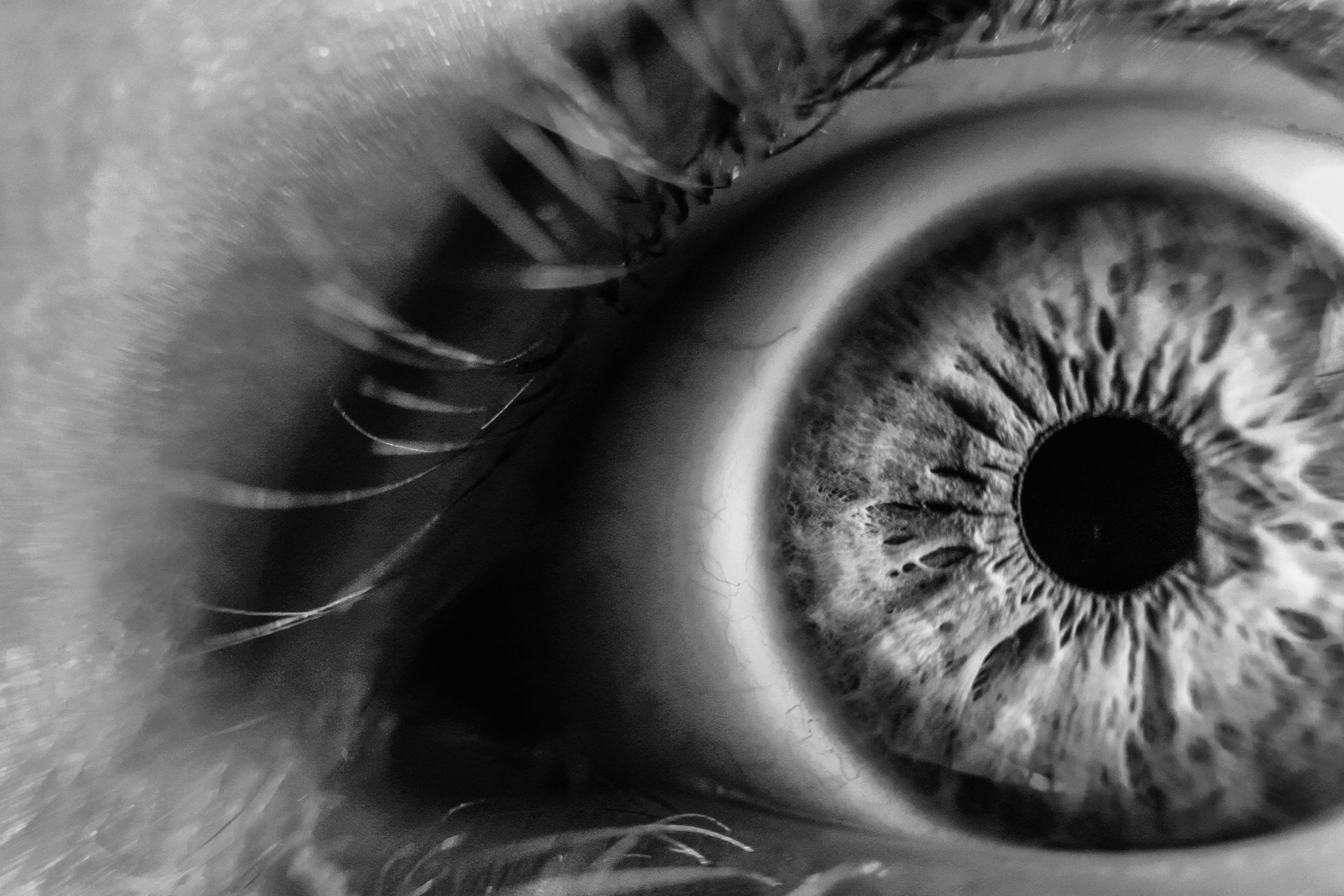 eye lashes, pupil, looking, looking at camera, body part, sensory perception, photo, eyebrow, portrait, eyeball, blur, indoors, extreme close-up, iris - eye, HD Wallpaper