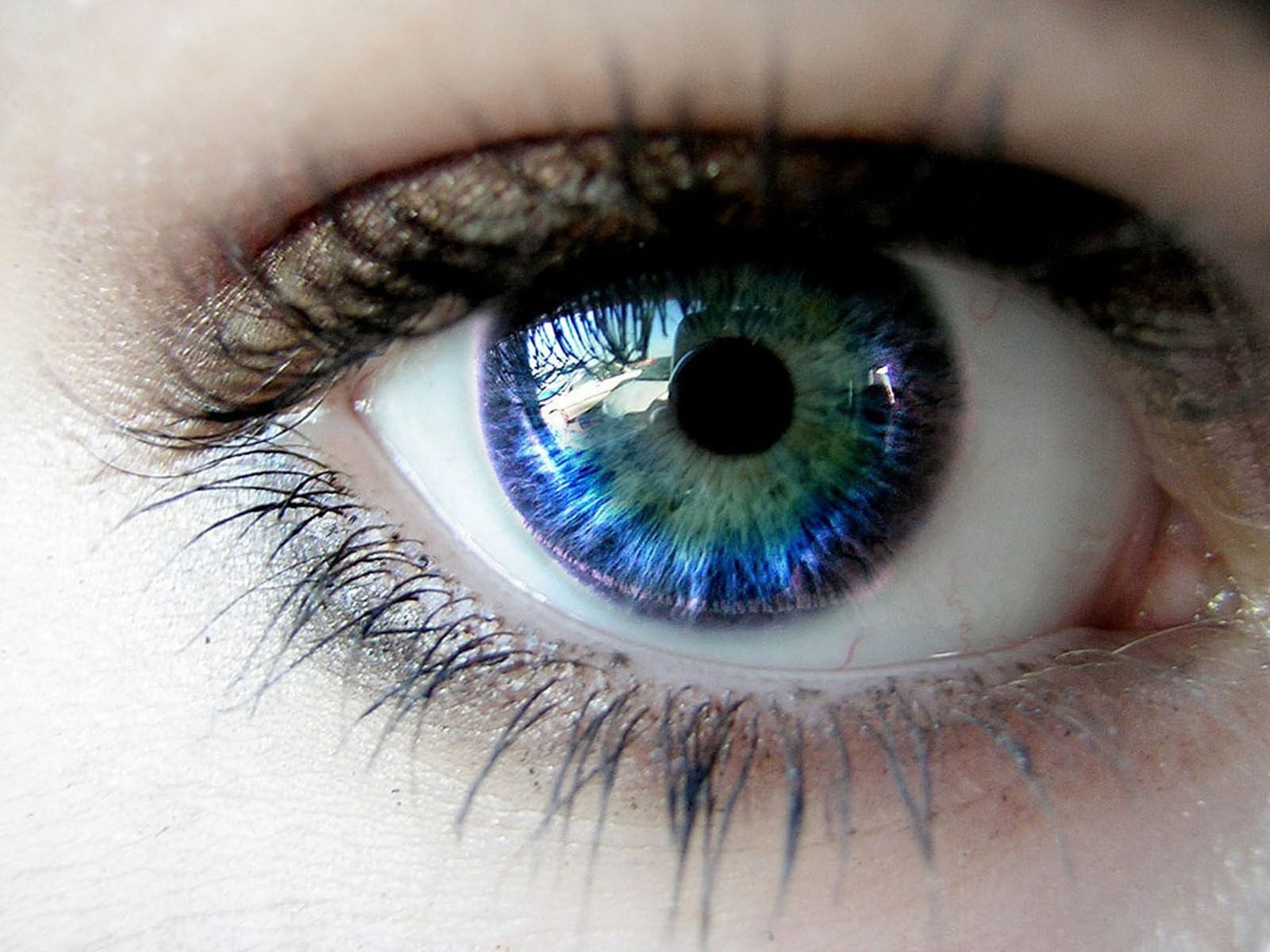 eyesight, portrait, one Person, eyebrow, young adult, macro, human Face, adult, cornea, women, aquula, beautiful, staring, looking, 720P, eyelash, females, HD Wallpaper