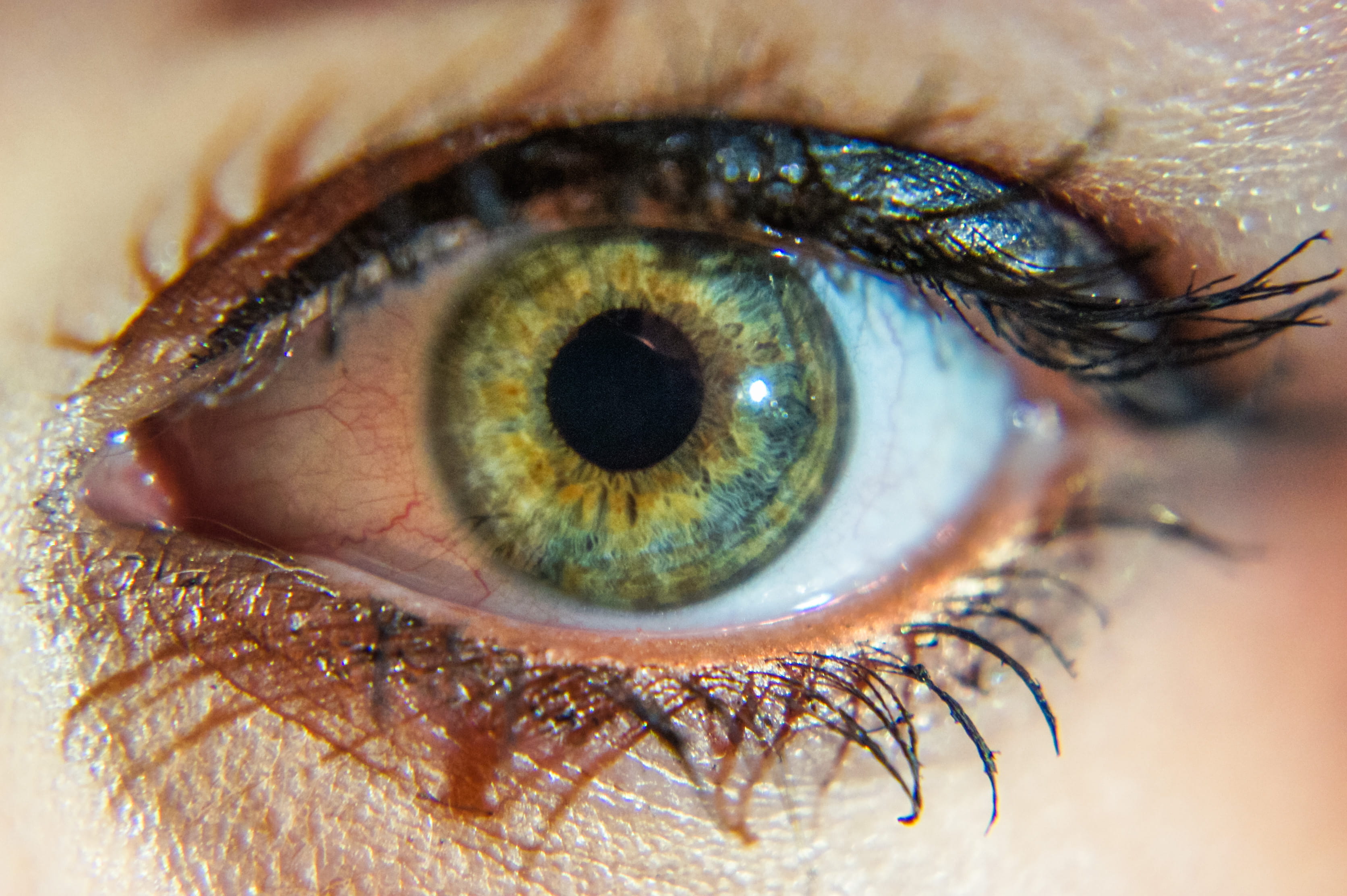 eyesight, human body part, one person, eyebrow, eyelash, beautiful woman, iris - eye, eye, adult, looking at camera, young adult, sensory perception, close-up, HD Wallpaper