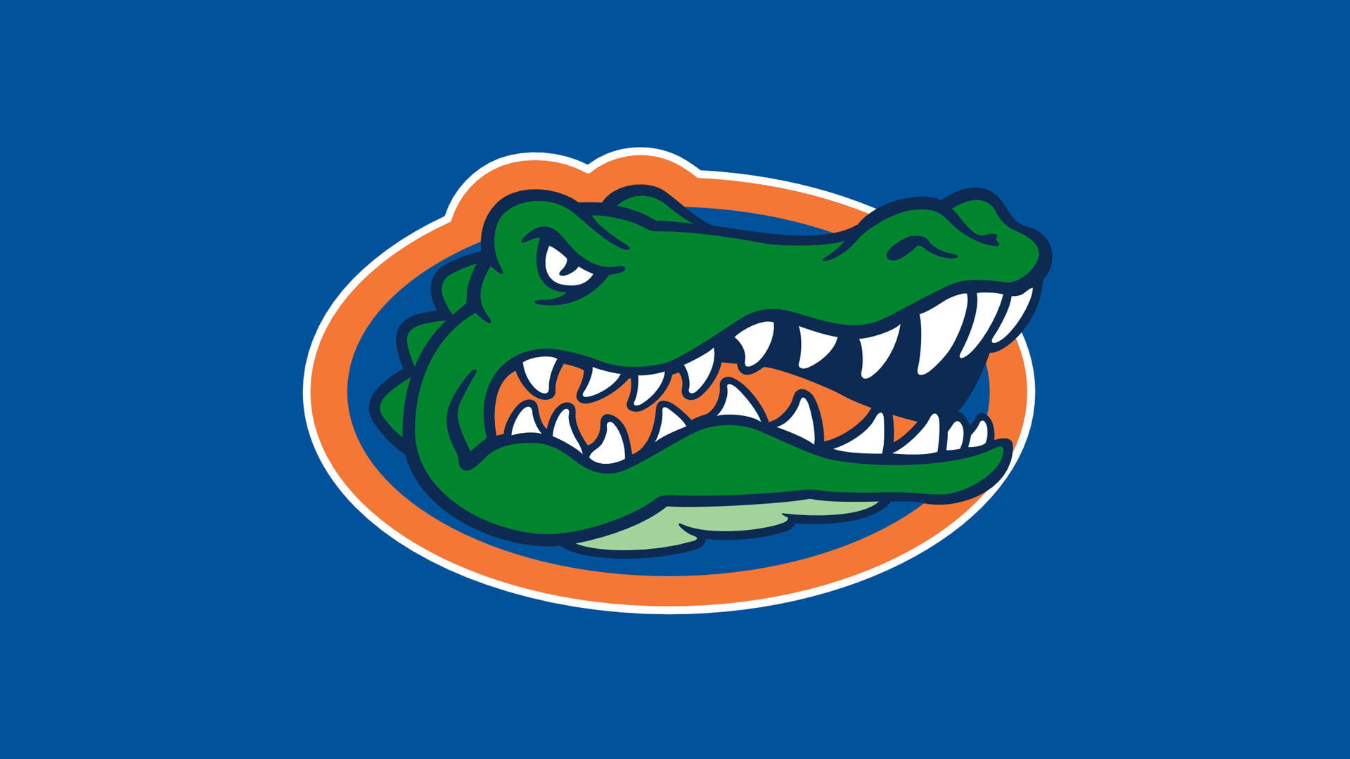 1080P, crocodiles, HD Wallpaper
