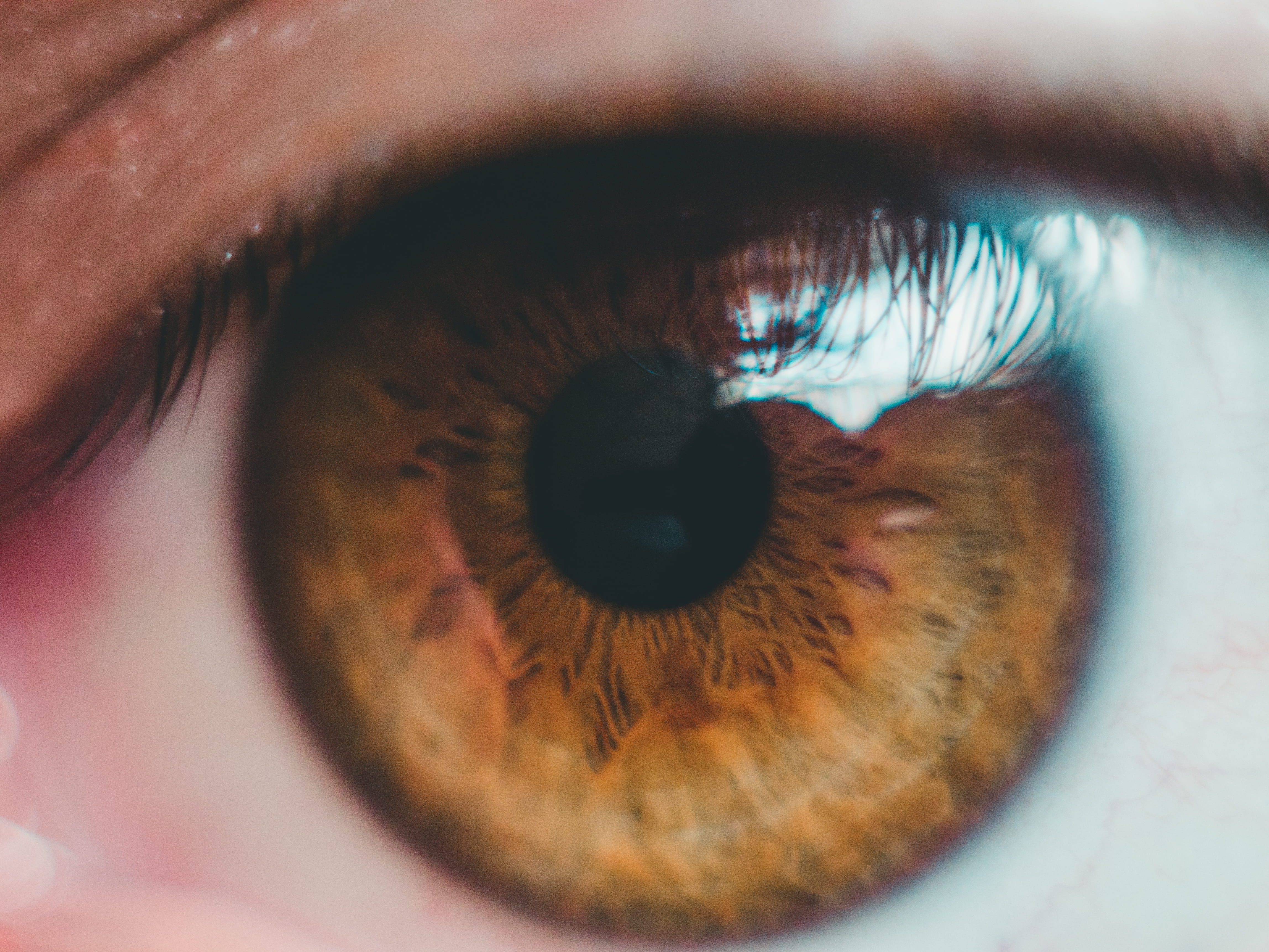 macro, eyesight, young adult, one person, eye, brown, 4K, photography, fibers, human eye, body, close-up, iris - eye, hazel eyes, eyebrow, portrait, men, HD Wallpaper