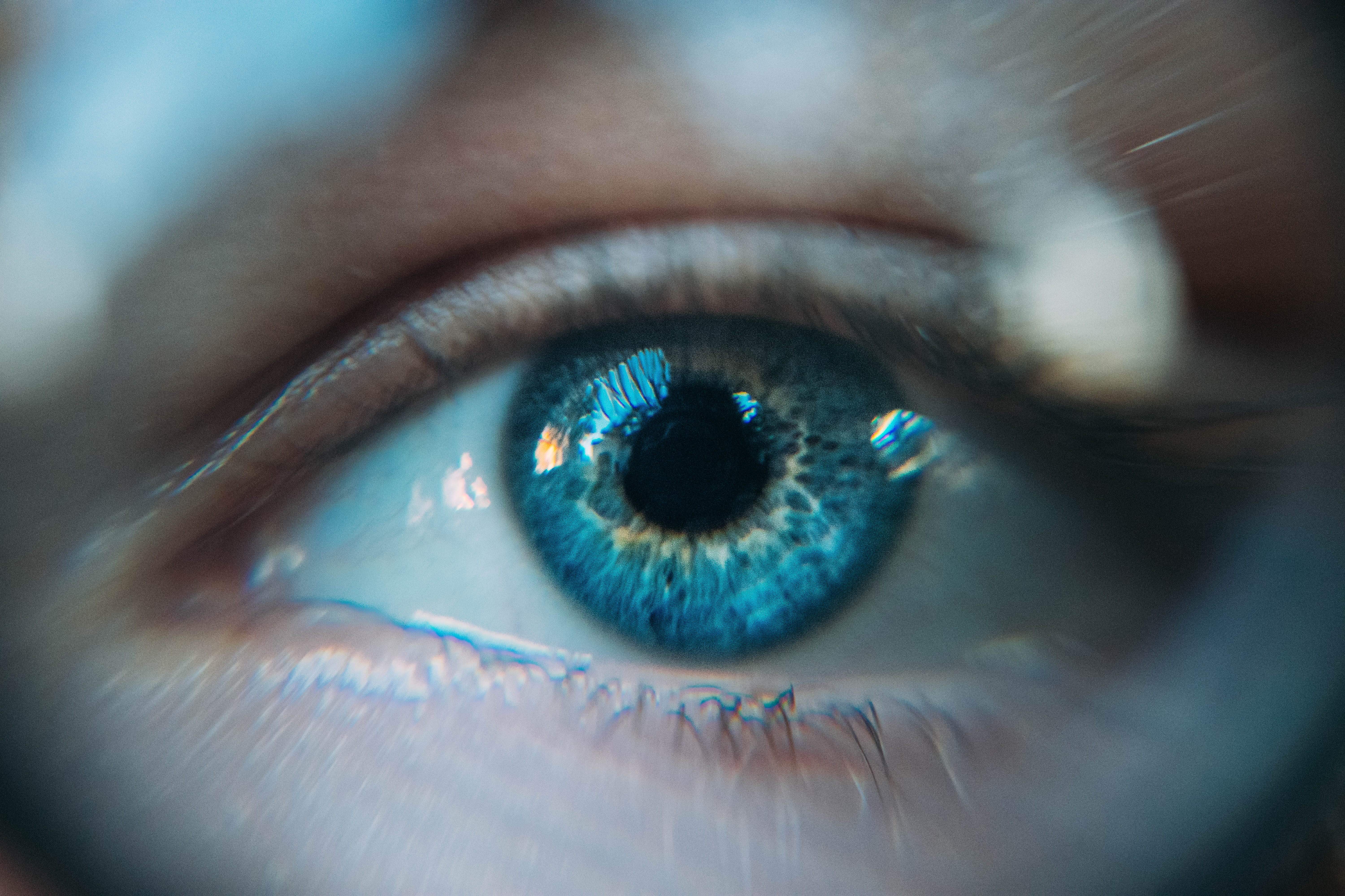 eyelid, pupil, adult, extreme close-up, body part, human, blue eyes, eyebrow, closeup, sensory perception, eyelashes, vision, blue, human body part, eyeball, HD Wallpaper