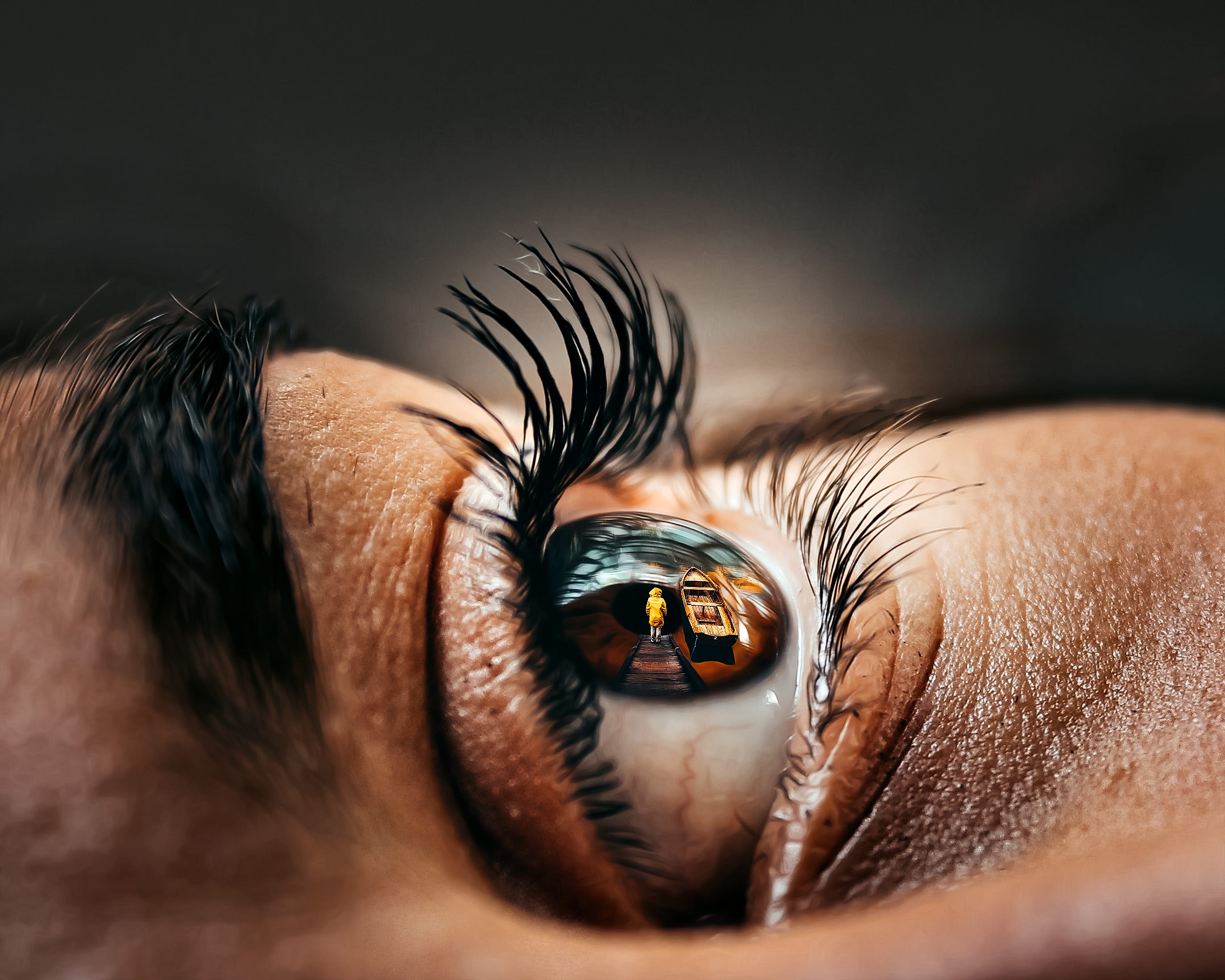 eyesight, reflection, 2K, indoors, human skin, iris - eye, human body part, sight, eyebrow, one person, unrecognizable person, real people, eyelash, human eye, HD Wallpaper
