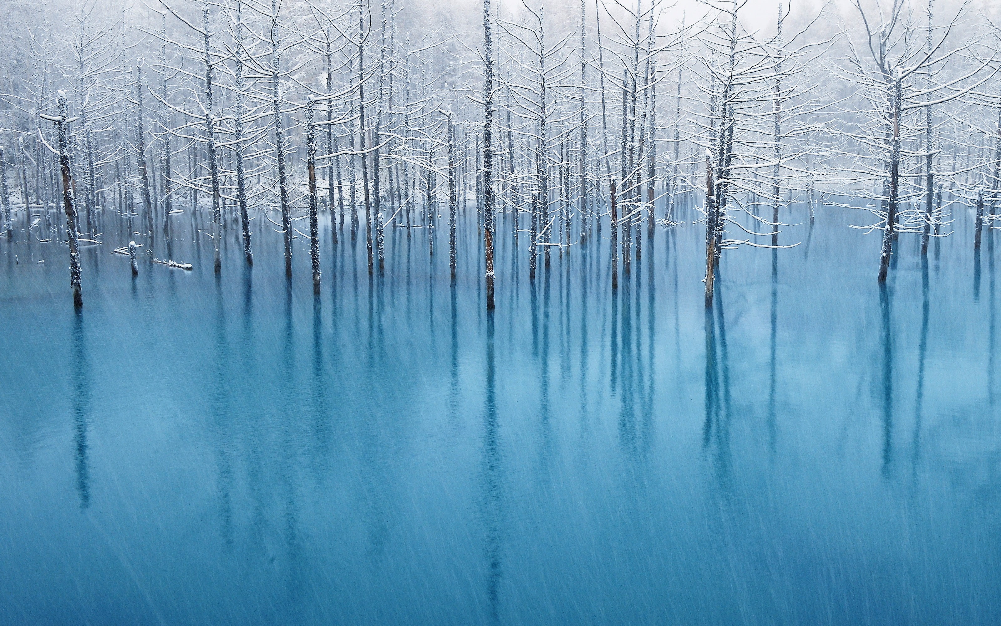 tranquility, reflection, day, tranquil scene, beauty in nature, white, no people, forest, water, scenics - nature, pond, cold temperature, outdoors, blue, HD Wallpaper