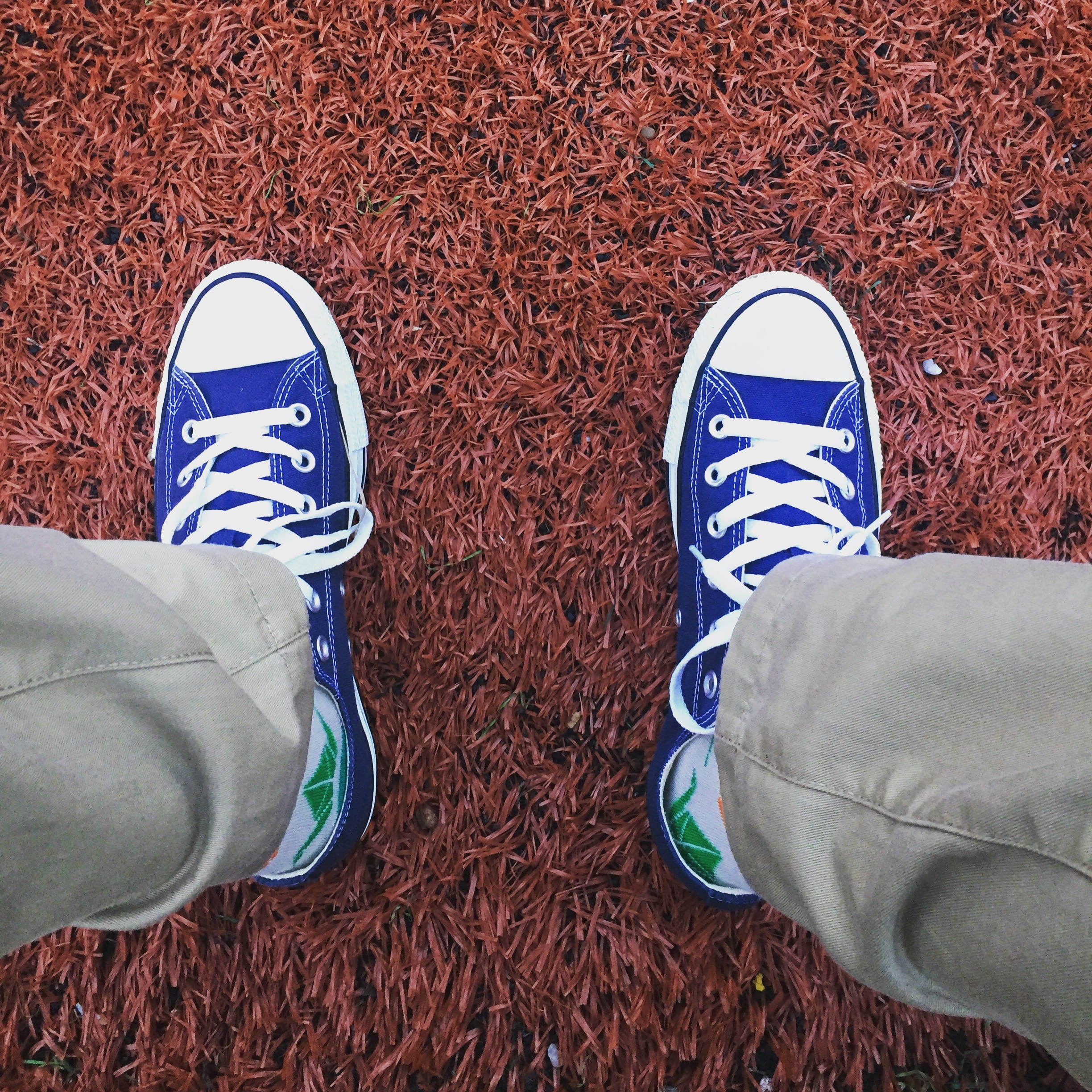 ground, skate, canva, wearing, white, grass, footwear, skateboard, standing, khaki, shock, funky, low, converse, feet, shoe, lifestyles, brown, clothing, Phone HD Wallpaper