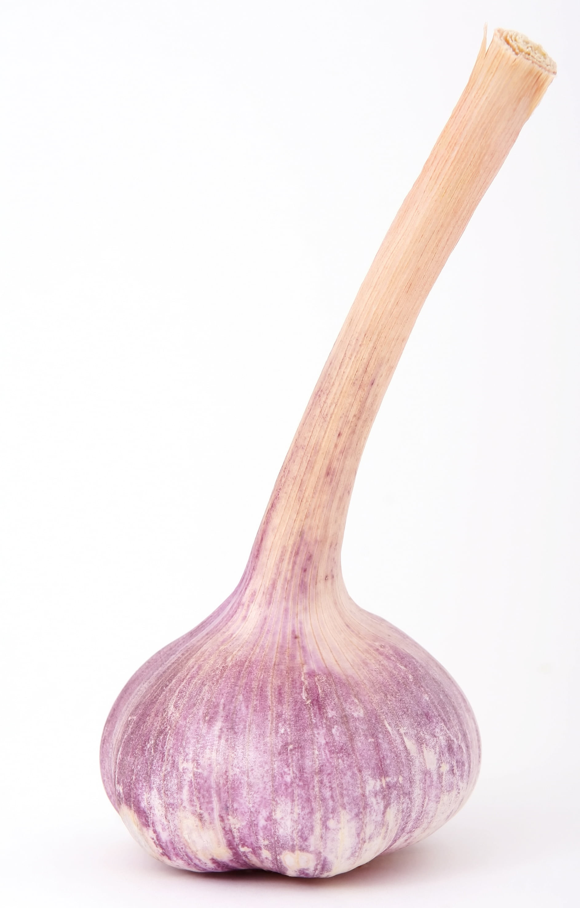 meal, spice, flavour, fit, purple, spring, single, wellbeing, vegetarian food, vegetarian, diet, tangy, cook, no people, freshness, home, healthy eating, Phone HD Wallpaper