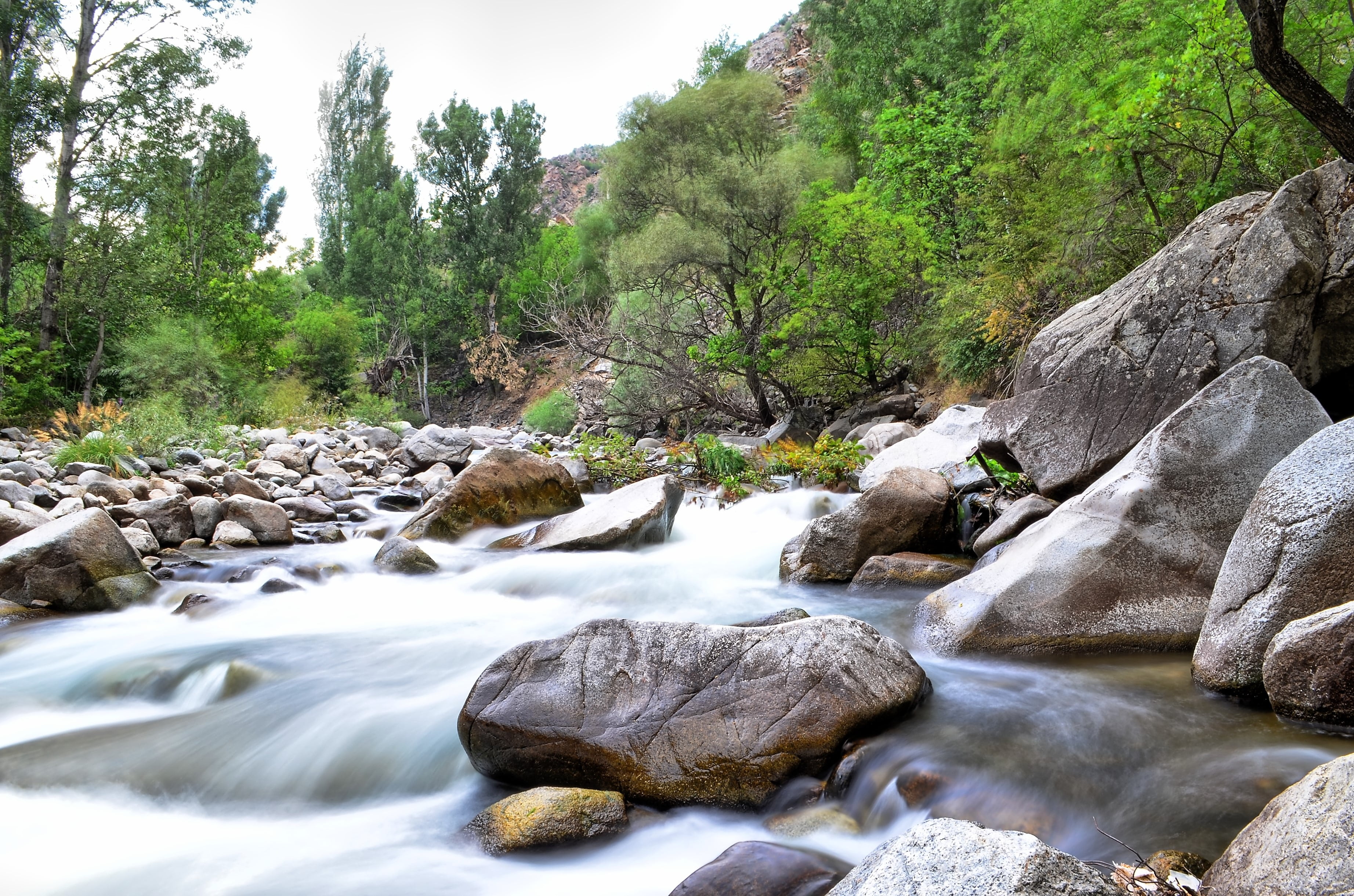 2K, tree, rock, scenics - nature, waterfall, plant, flowing water, kaçkars, coruh valley, freshness, travel, motion, power in nature, peace, beautiful, HD Wallpaper