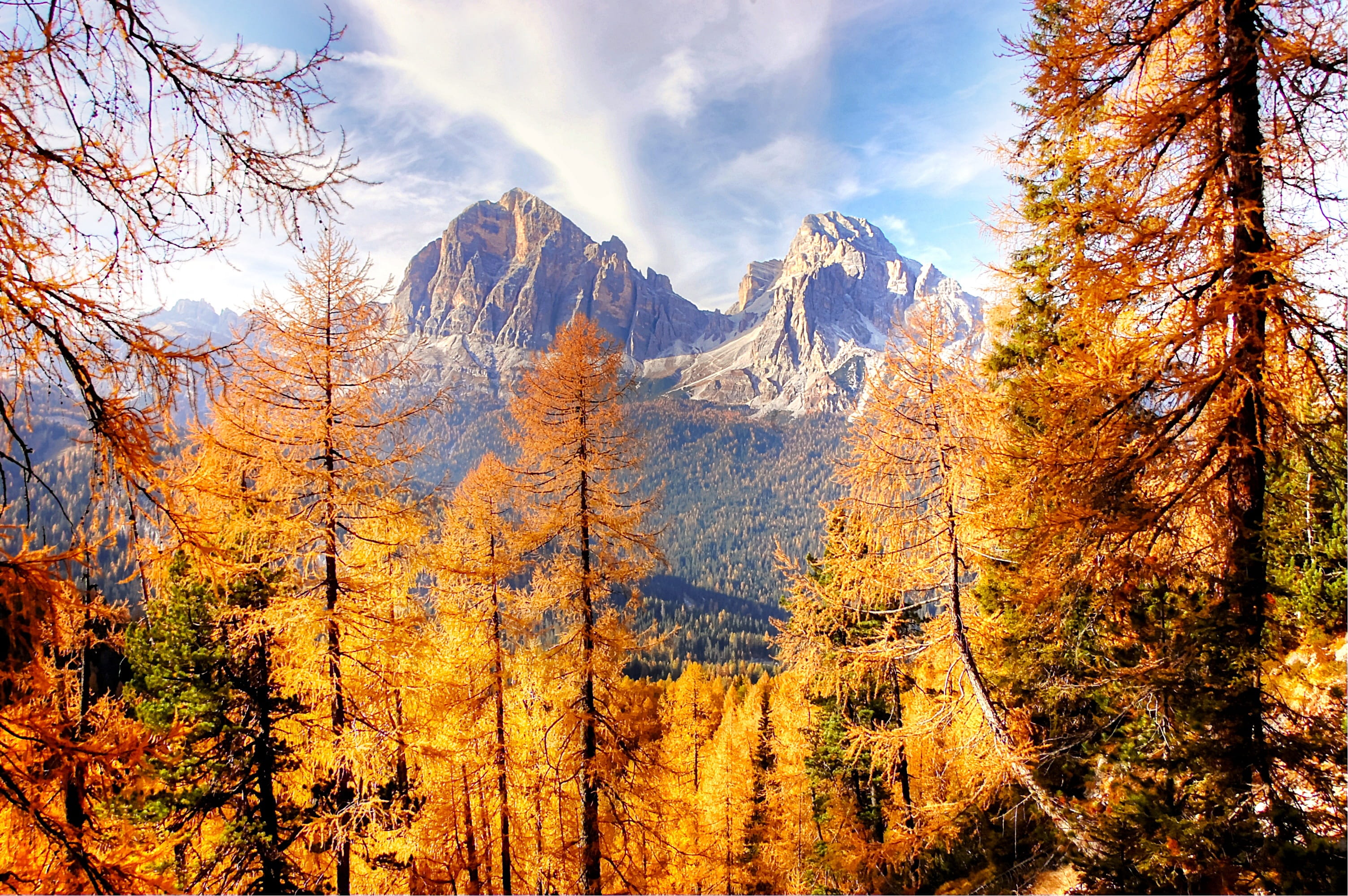 hike, vacations, dolomites, pine woodland, landscape, mountain, nature, non-urban scene, outdoors, panorama, autumn light, blue, coniferous tree, tranquil scene, HD Wallpaper