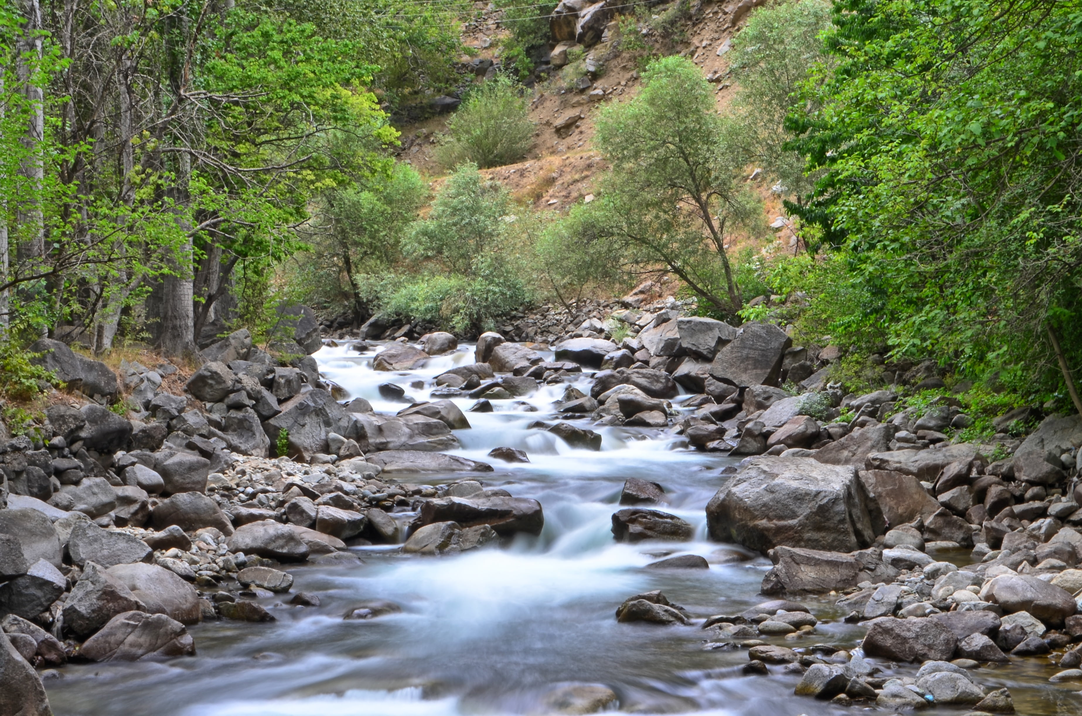 flowing, flowing water, beautiful, rock, outdoors, power in nature, beauty in nature, scenics - nature, plant, hunt, nature, green, open air, coruh valley, HD Wallpaper