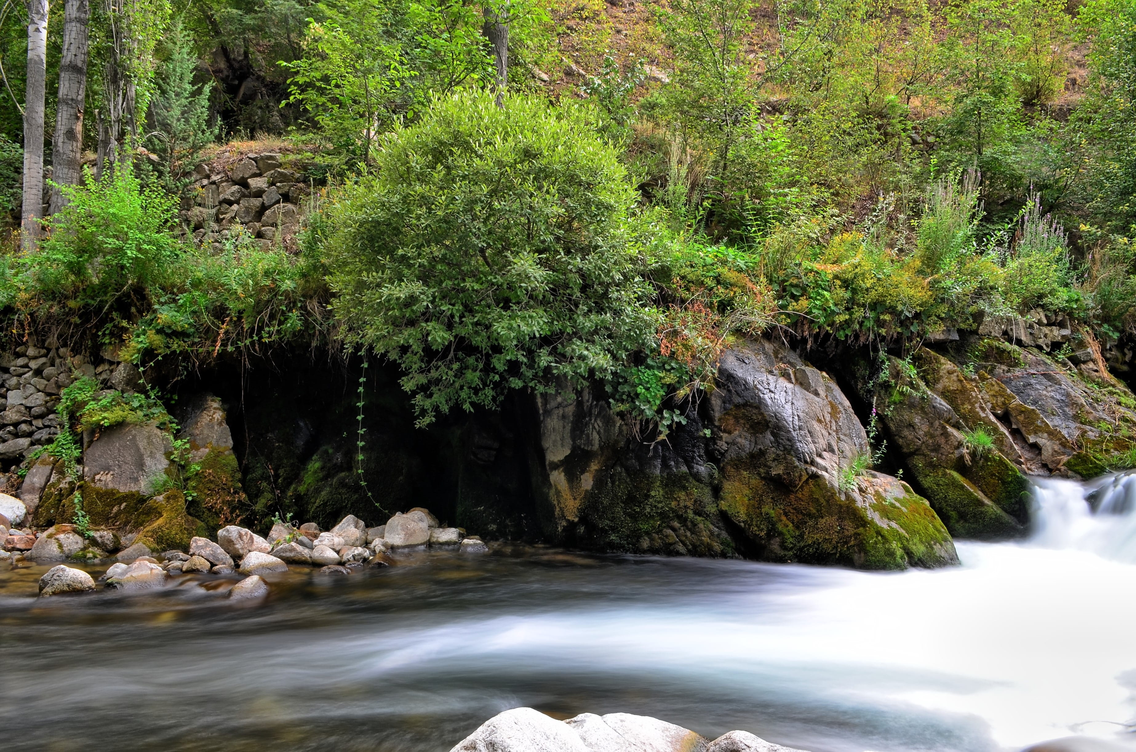 solid, tree, natur, flowing water, scenics - nature, River, travel, outdoors, background, rock - object, green color, bridge, open air, beautiful, tranquil scene, HD Wallpaper