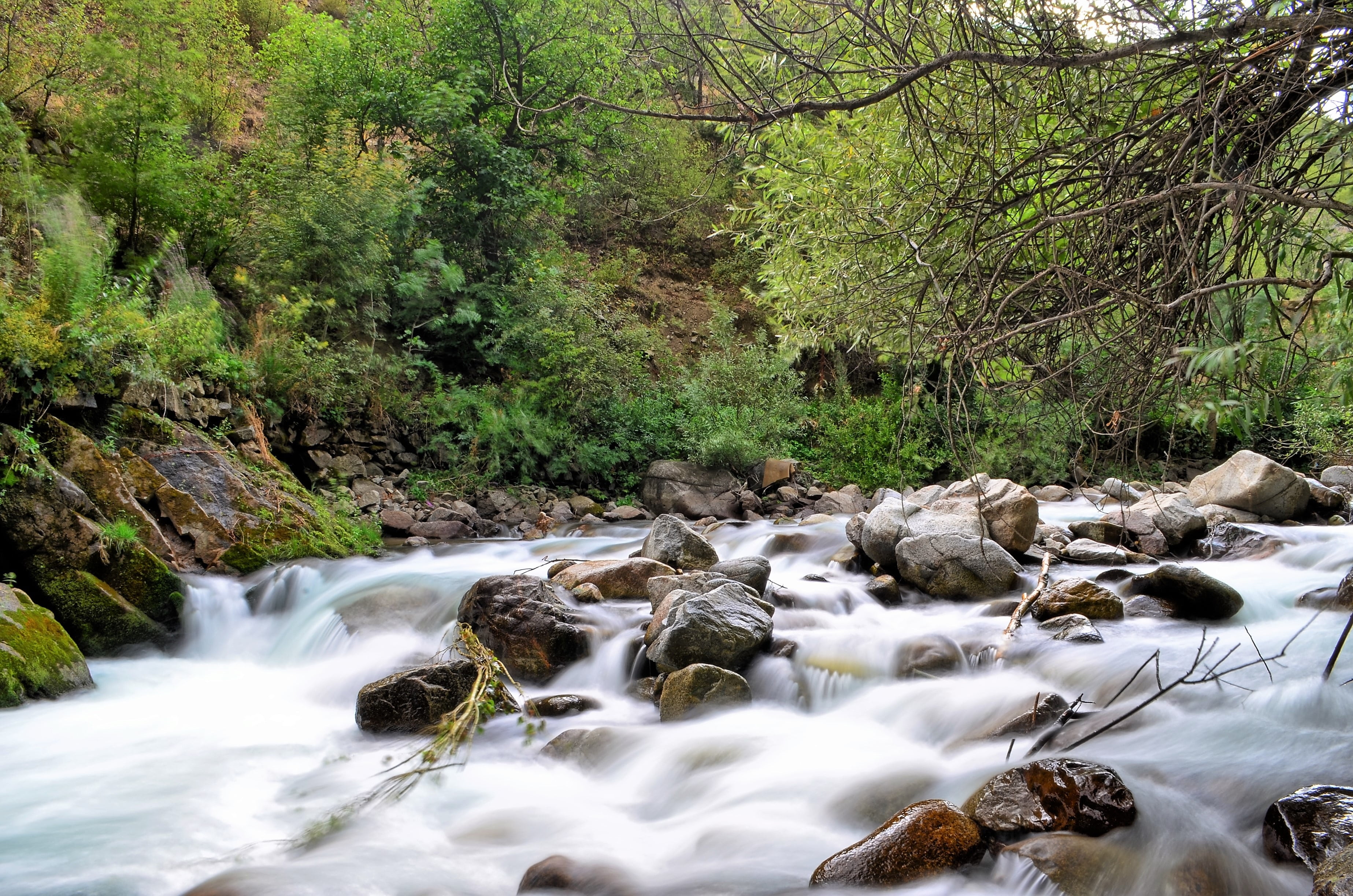 botanical, tranquility, environmental, bridge, long exposure, rainforest, blurred motion, authentic, rock, aksu, scenics - nature, water, land, motion, HD Wallpaper