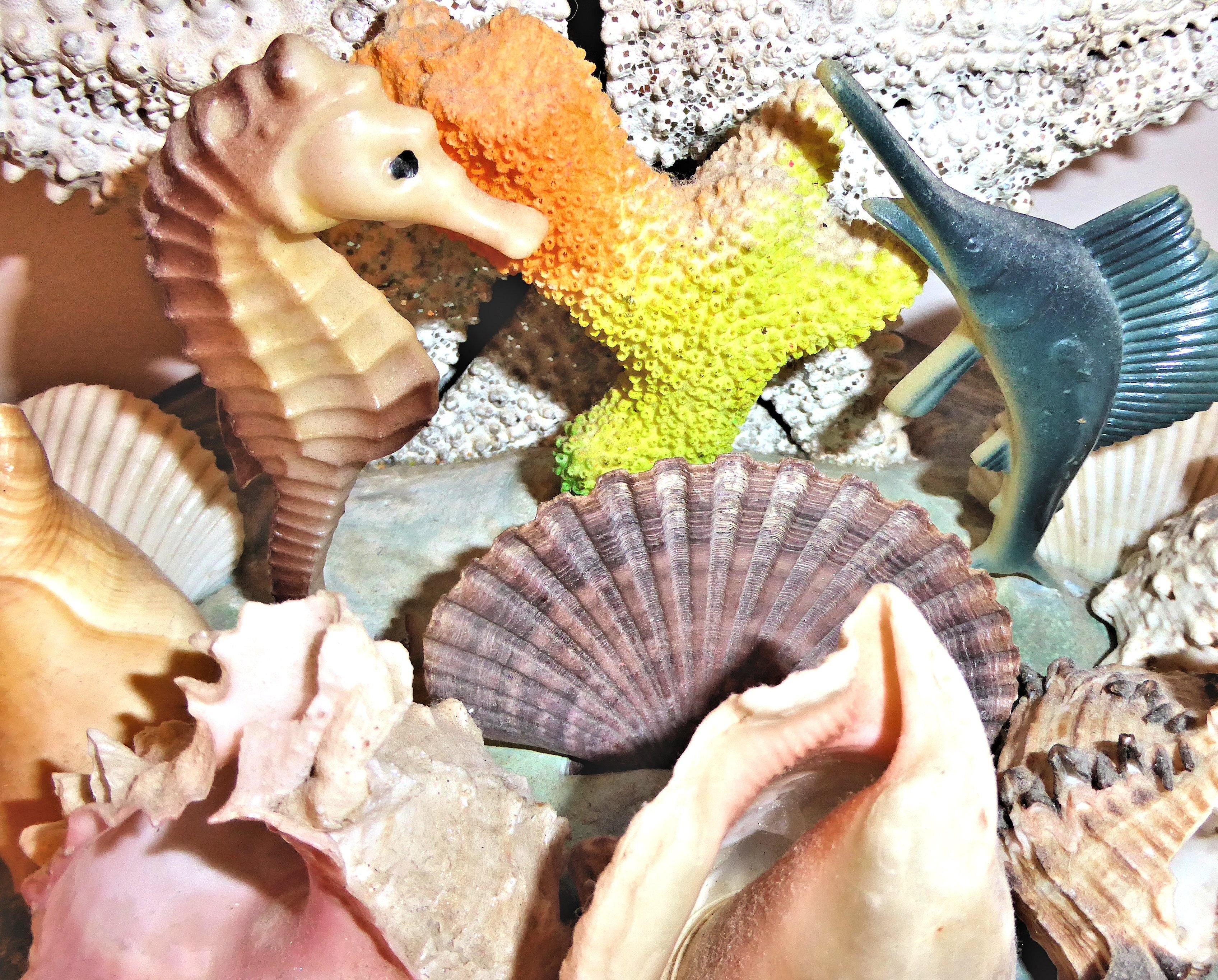 nature, underwater, vertebrate, high angle view, animal themes, bird, ornament, authentic sea shells, human hand, group of animals, 2K, close-up, human body part, HD Wallpaper