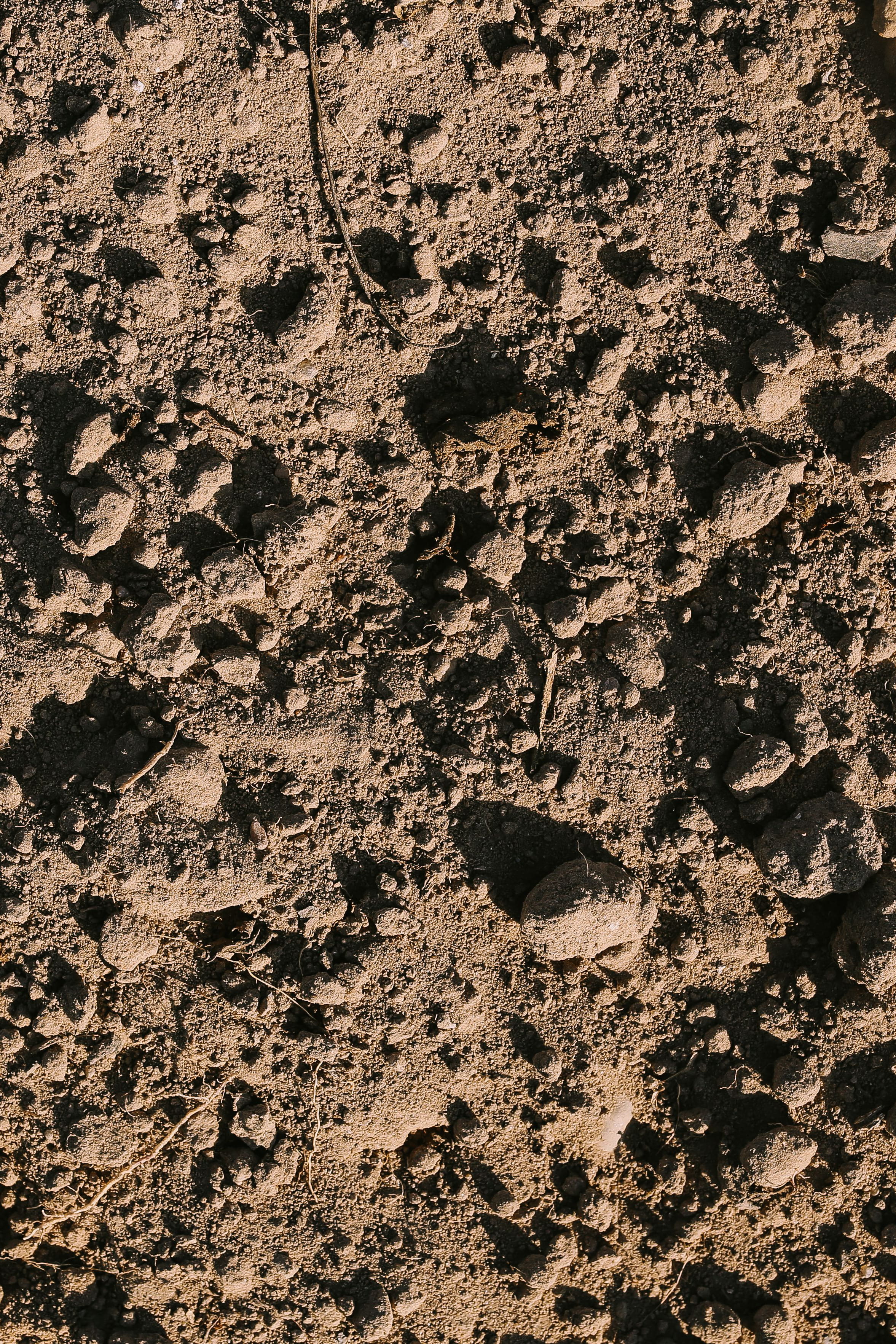 land, close, earth, ups, mud, footprint, no people, full frame, nature, dry, surface, 2K, background, close-ups, closeup, backgrounds, various, sunlight, Phone HD Wallpaper