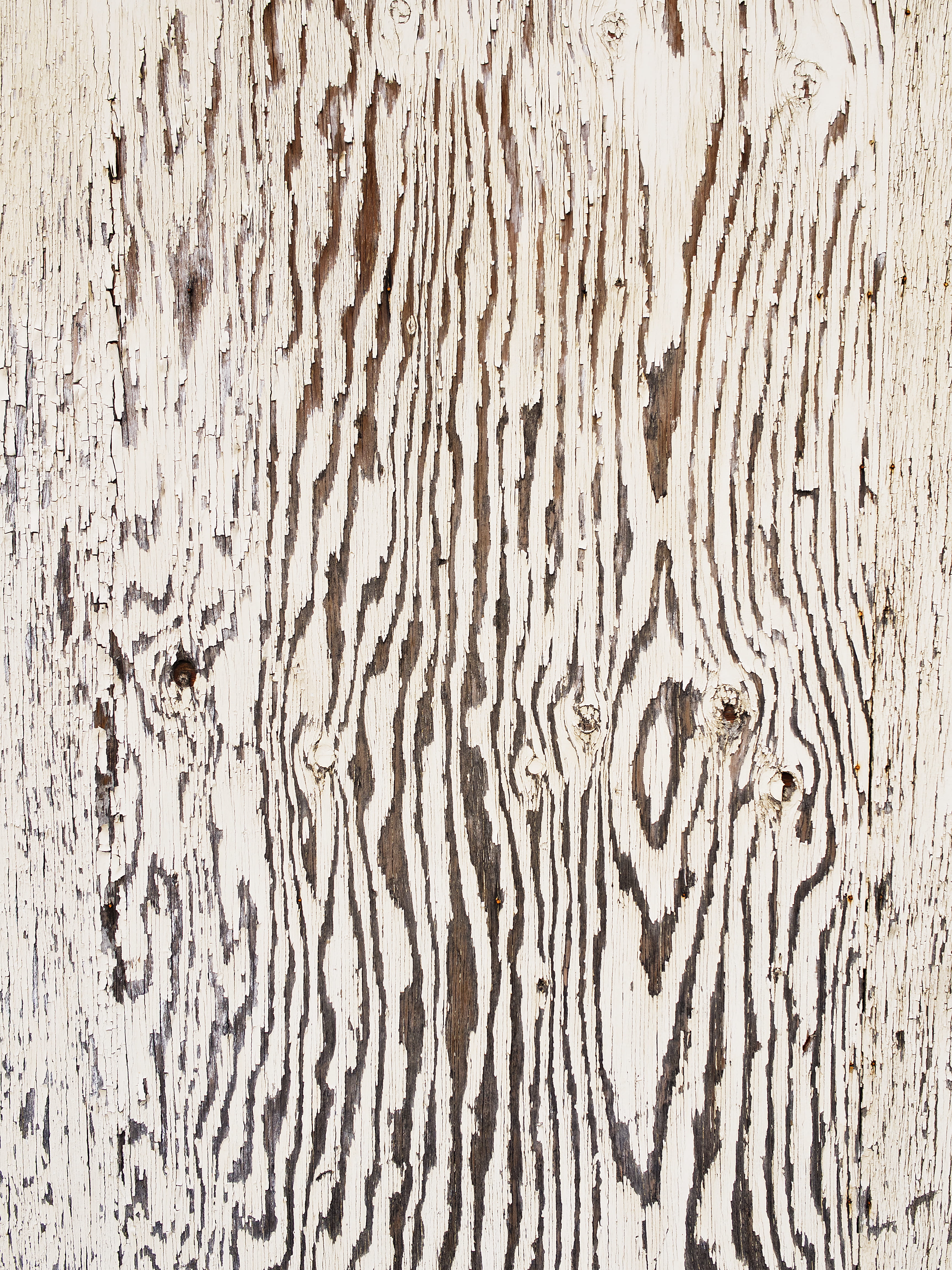 close-up, exterior, white, wood grain, full frame, rough, damaged, weathered, outdoors, no people, close, aged, texture, wood - material, brown, trunk, Phone HD Wallpaper