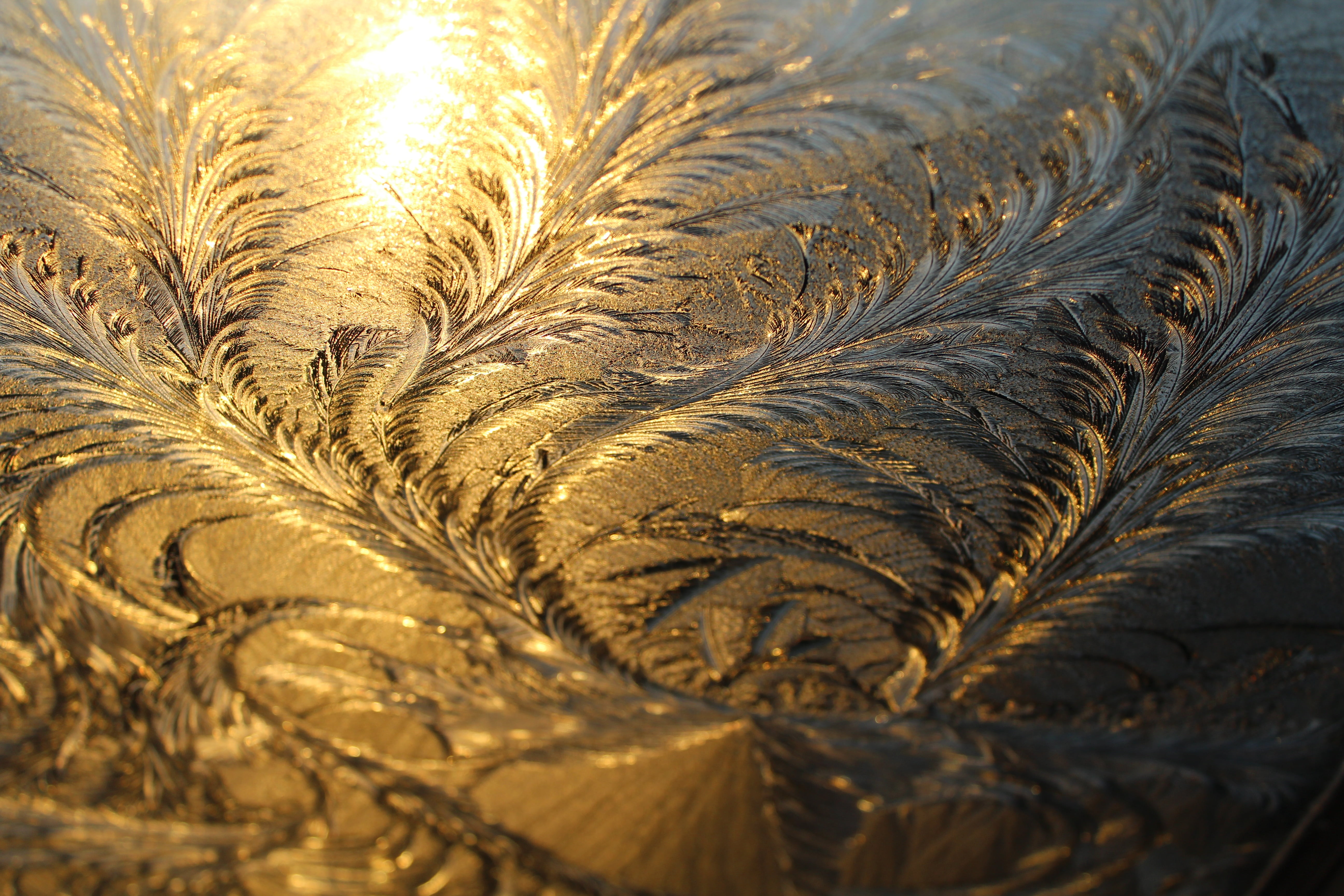 selective focus, no people, wooden, glass, natural pattern, outdoors, day, close-up, macro, photography, iced, floral, nature, cold, growth, eiskristalle, HD Wallpaper