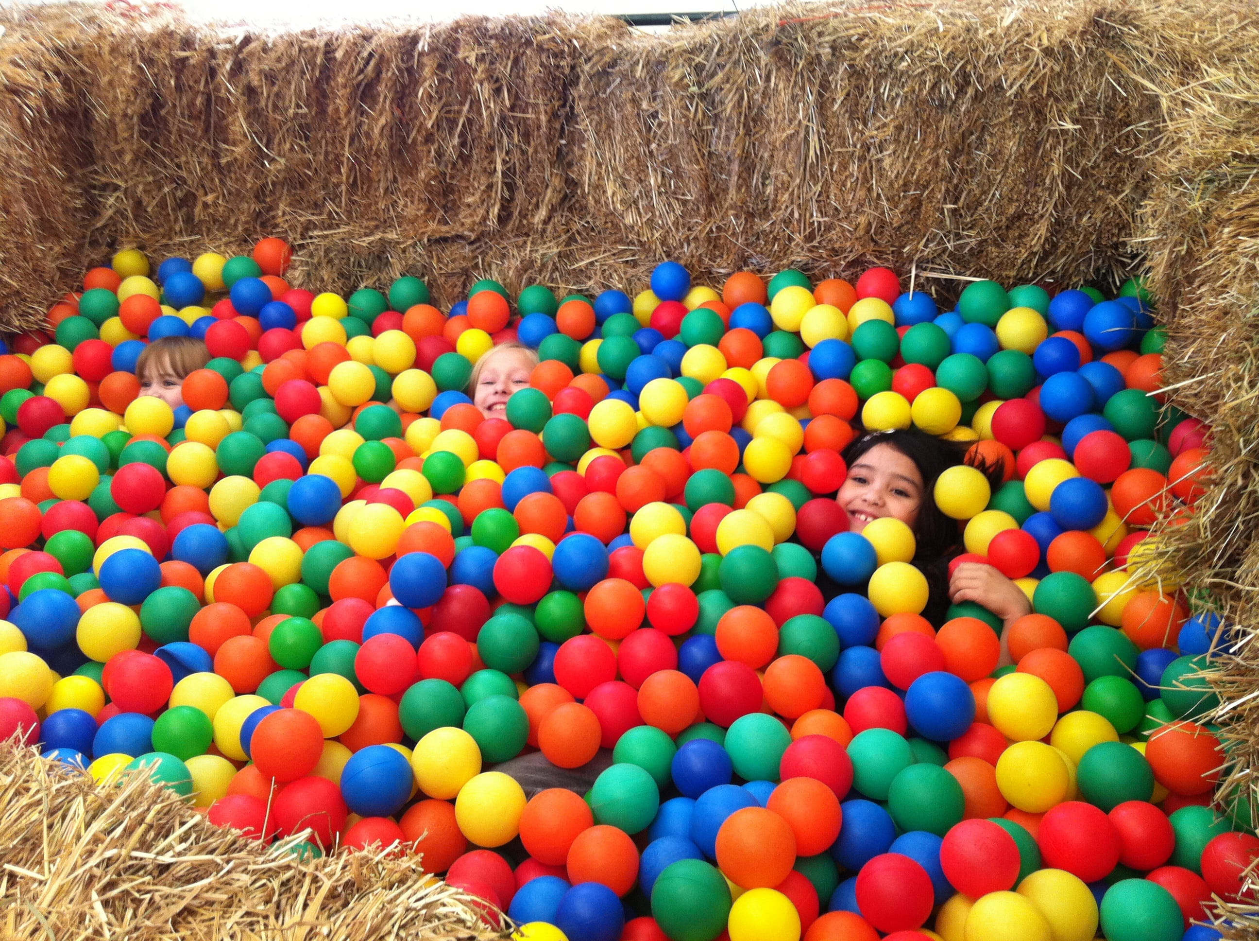 emotion, happiness, field, leisure activity, person, kids, multi colored, fun, high angle view, happy, 2K, playing, children, large group of objects, ball pit, HD Wallpaper